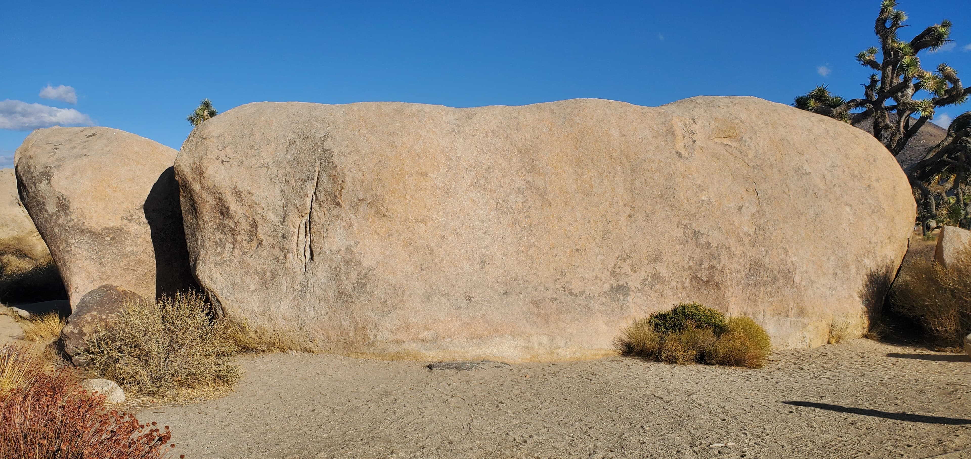 Photo of *Joshua Tree Bouldering*