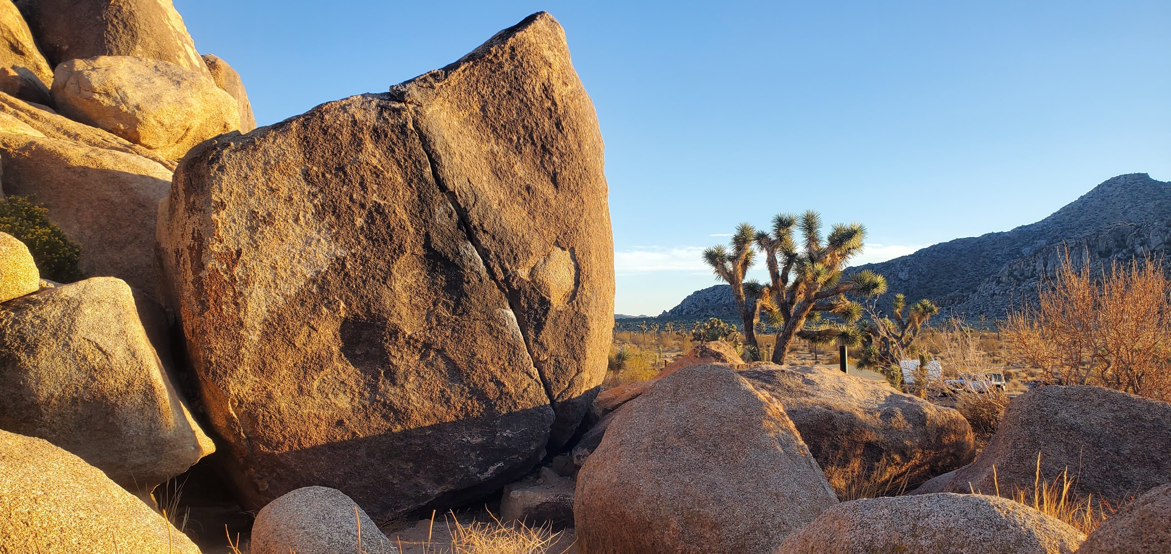 Photo of Joshua Tree National Park