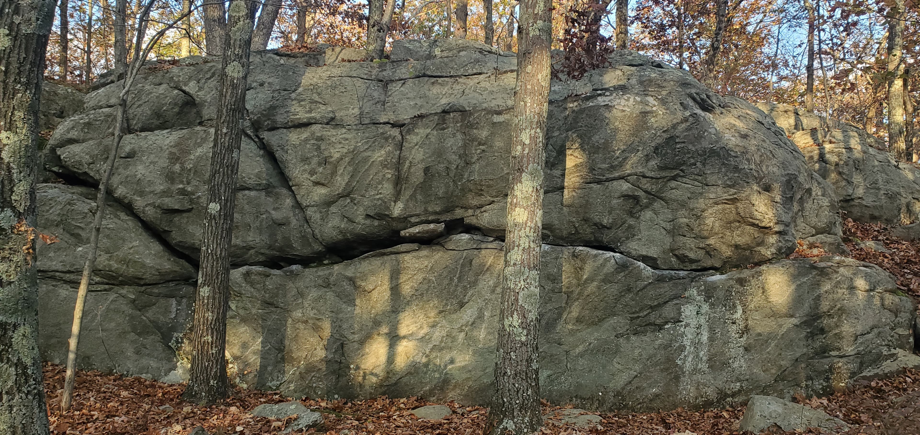 Photo of Lincoln Woods