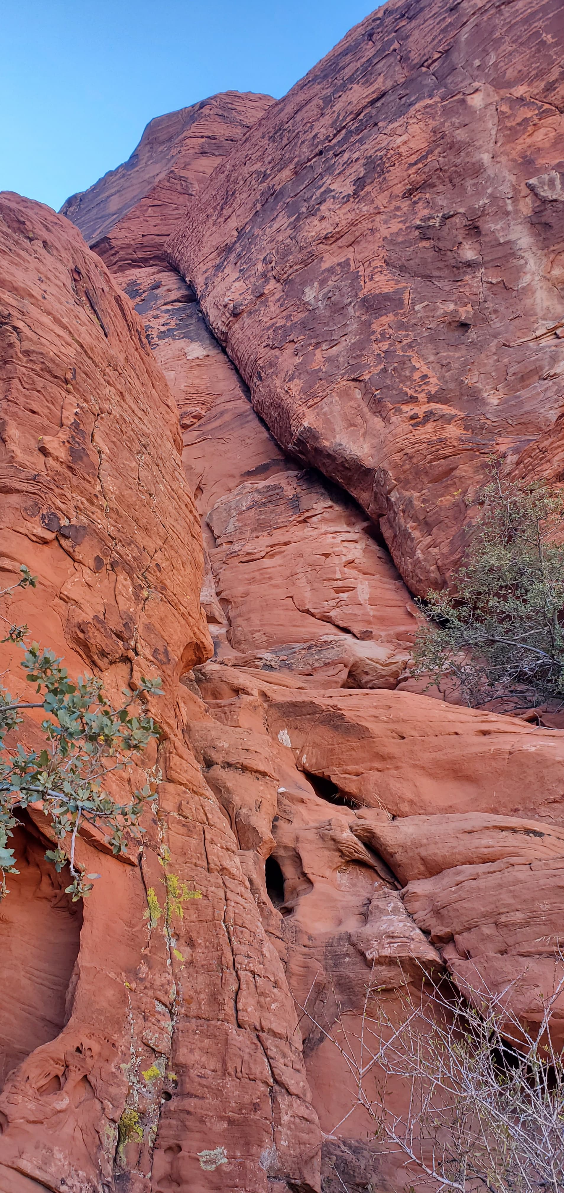 Photo of Calico Basin