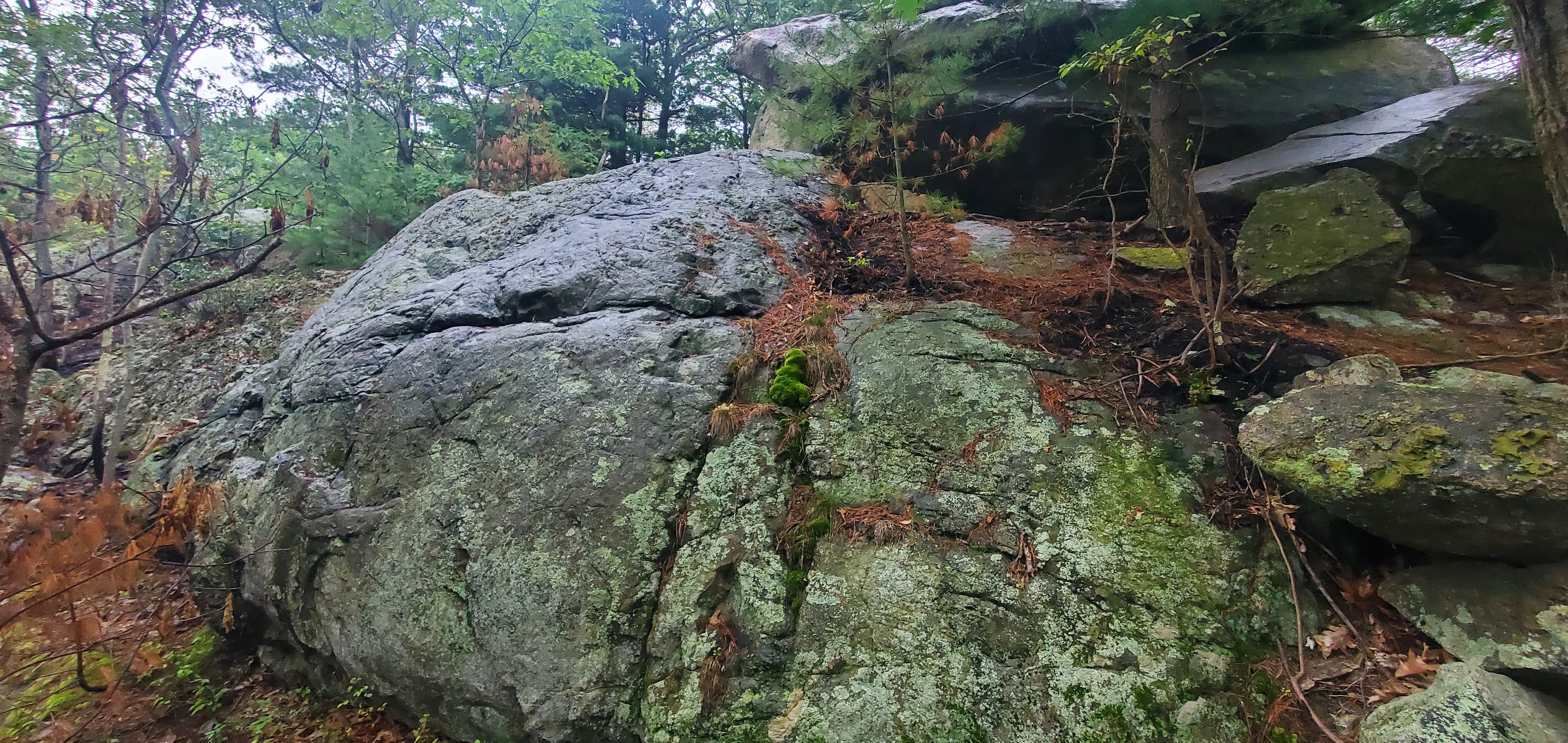 Photo of The Cellar Boulder