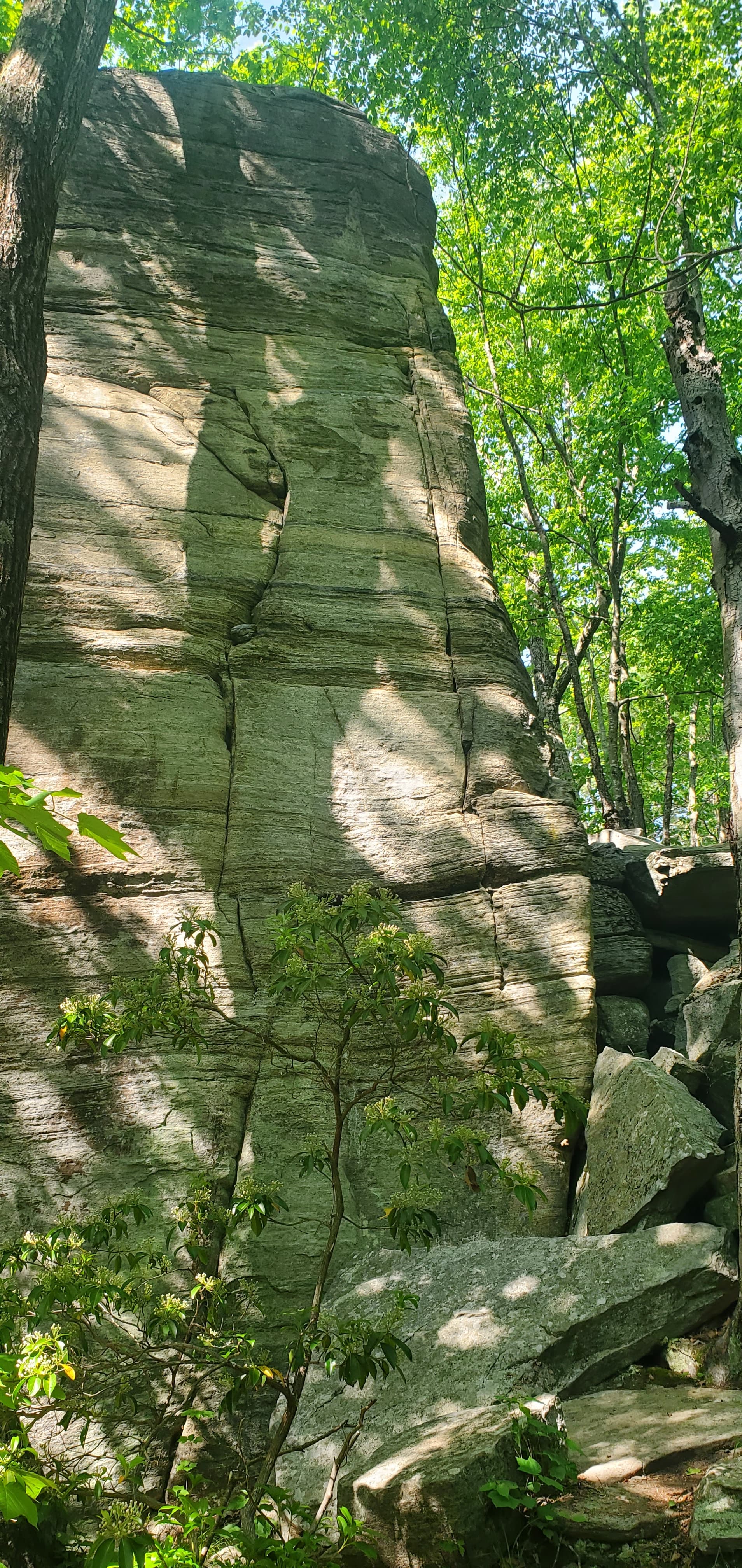 Photo of Massachusetts