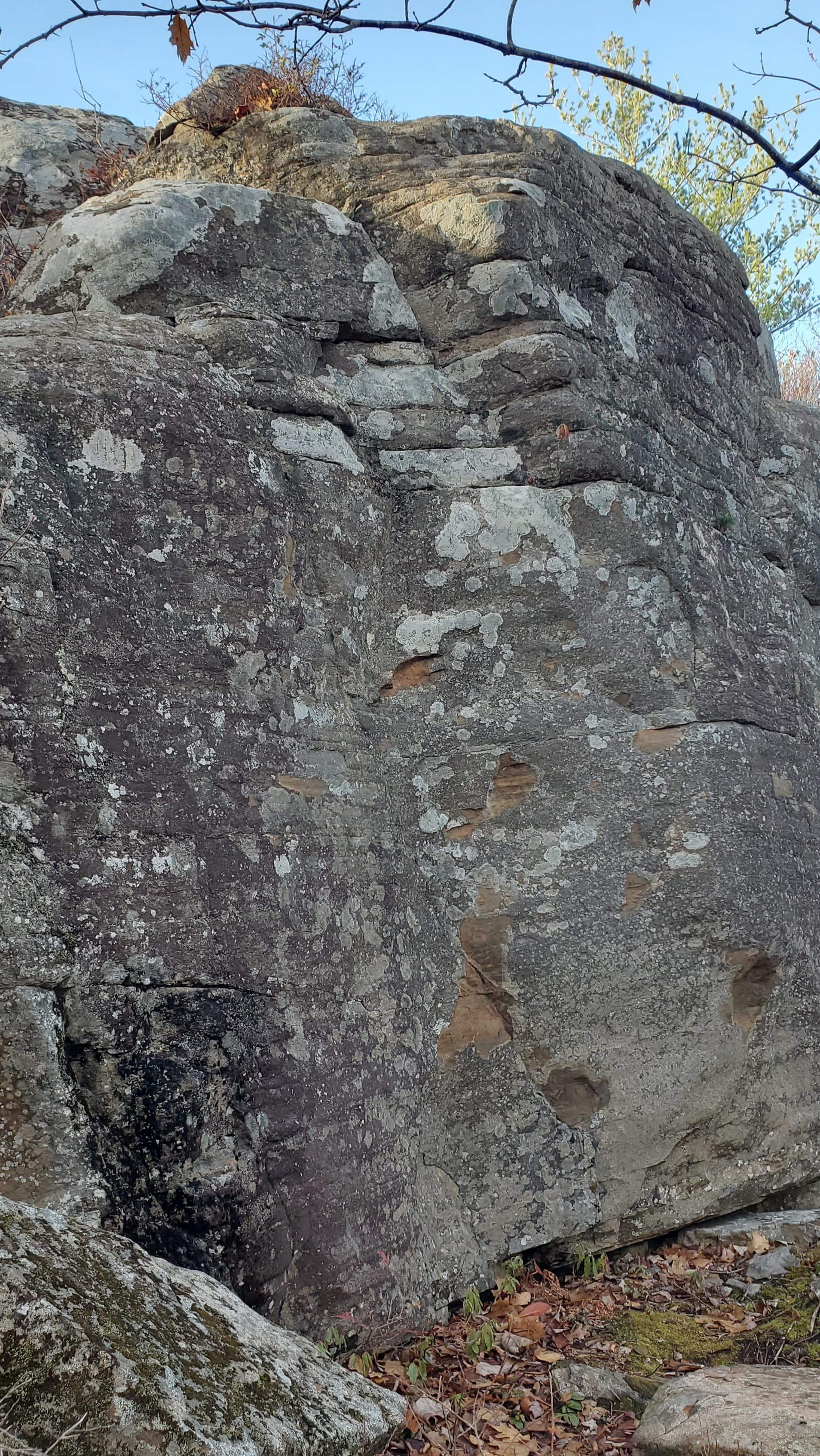 Photo of Shaw Wilderness Park