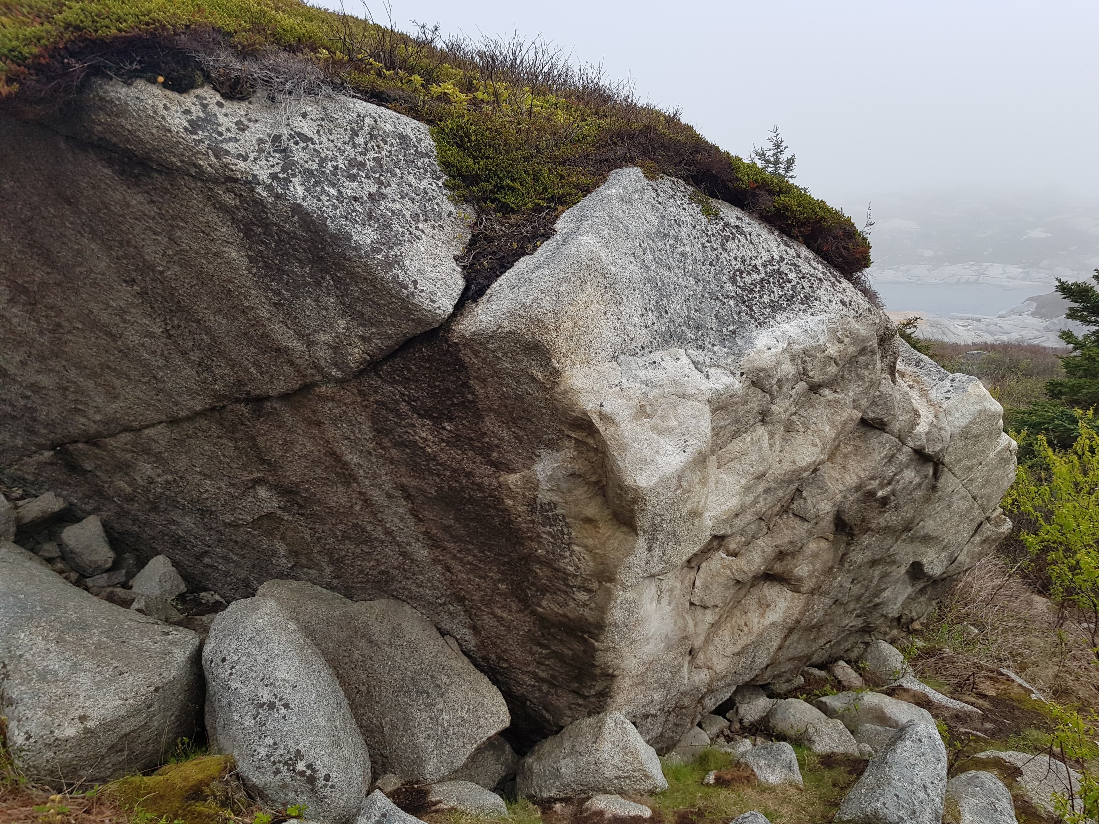 Photo of Polly's Cove