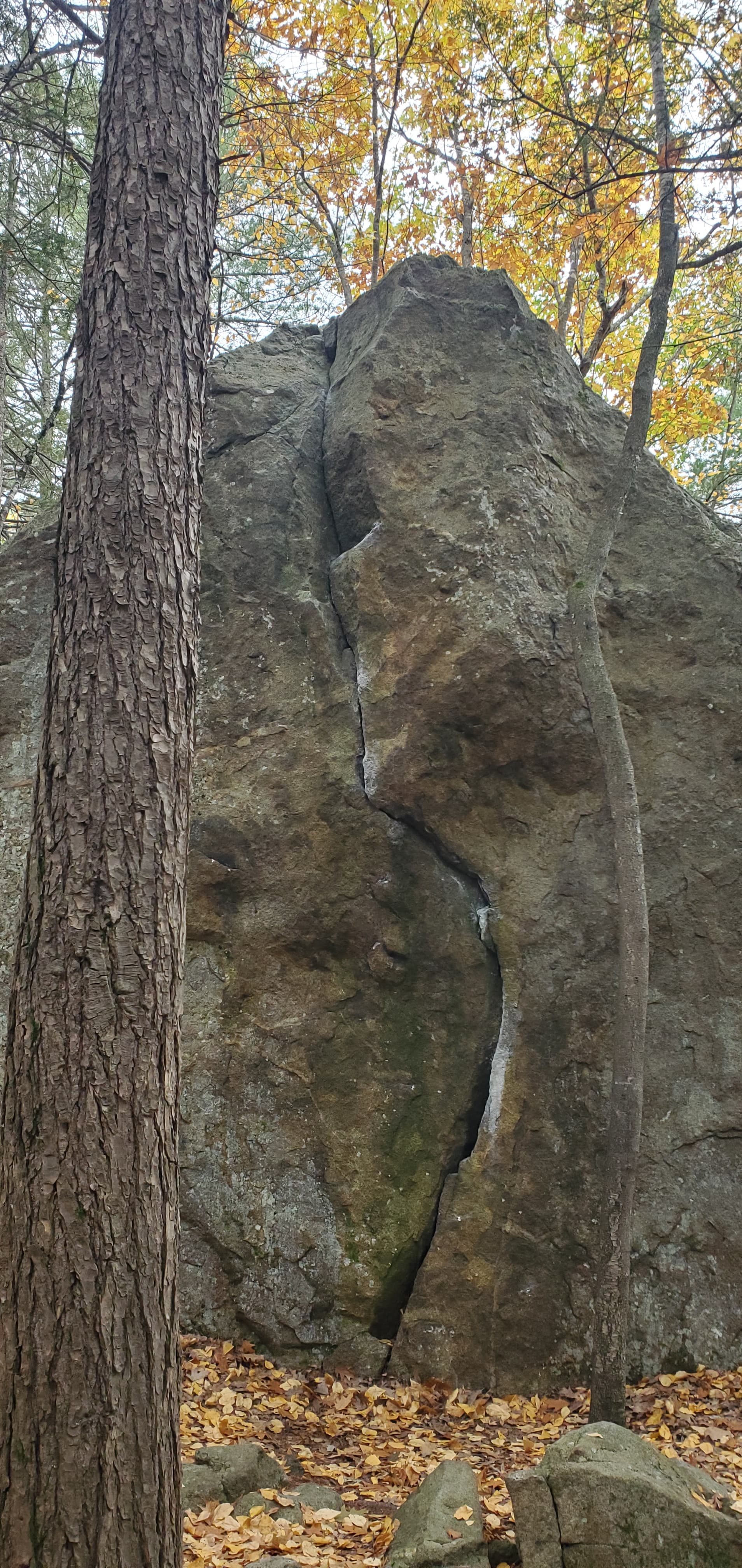Photo of Pawtuckaway