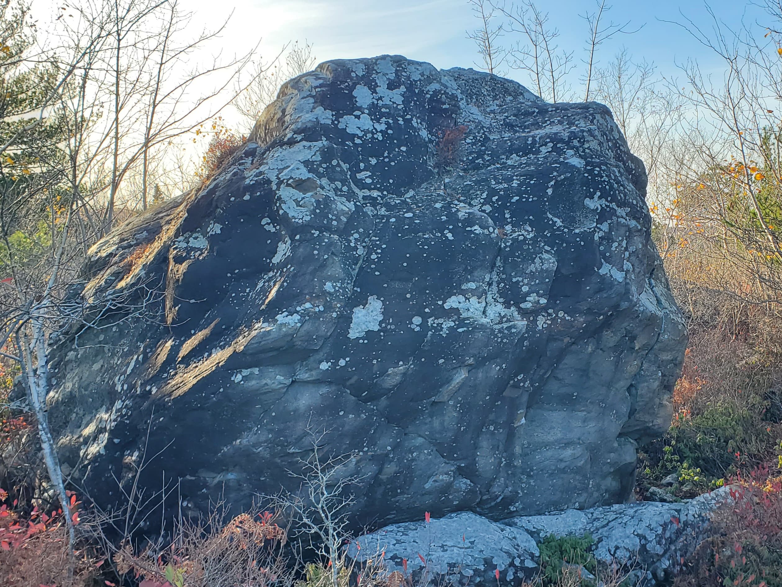 Photo of Shaw Wilderness Park