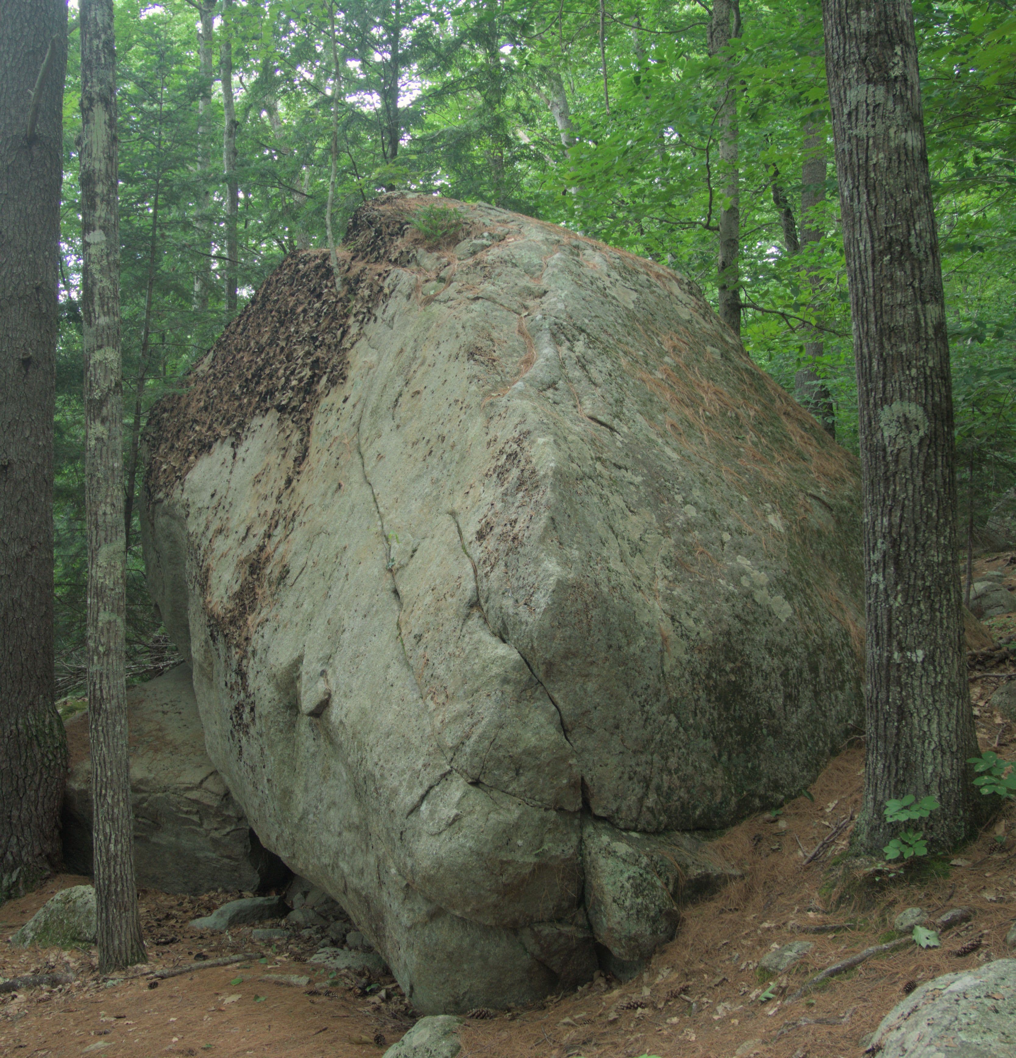 Photo of WM: Kancamagus (Eastern)