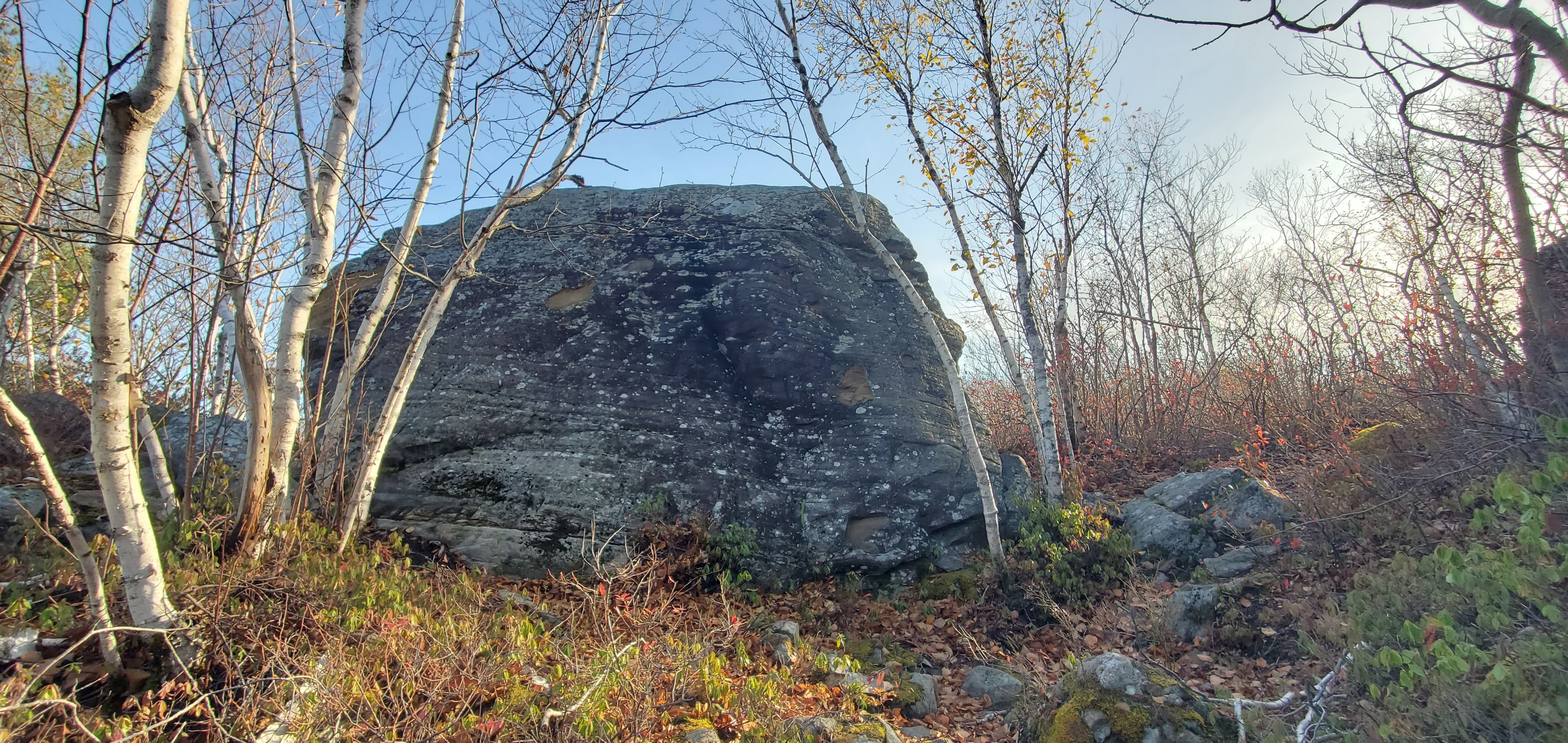 Photo of Shaw Wilderness Park