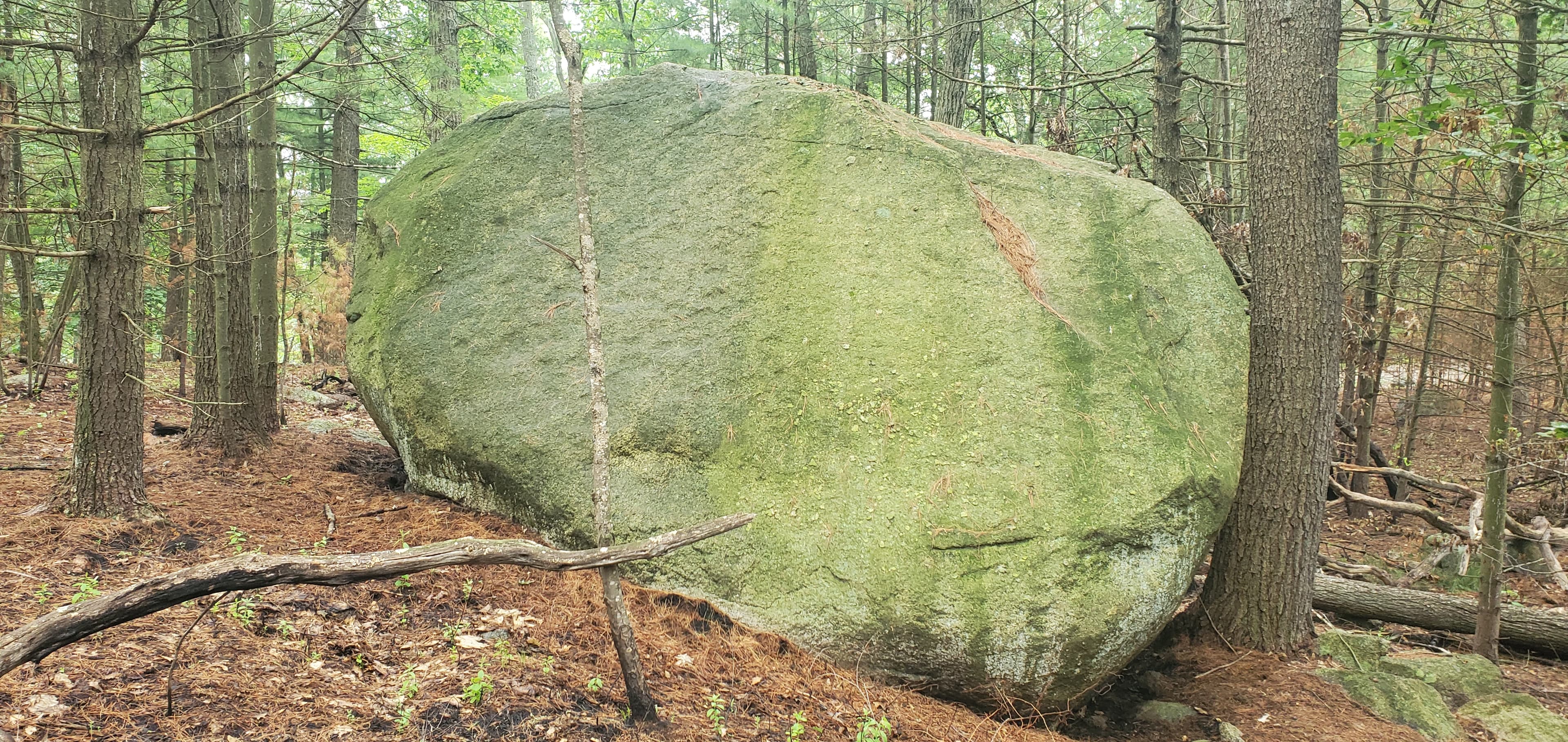 Photo of North Shore
