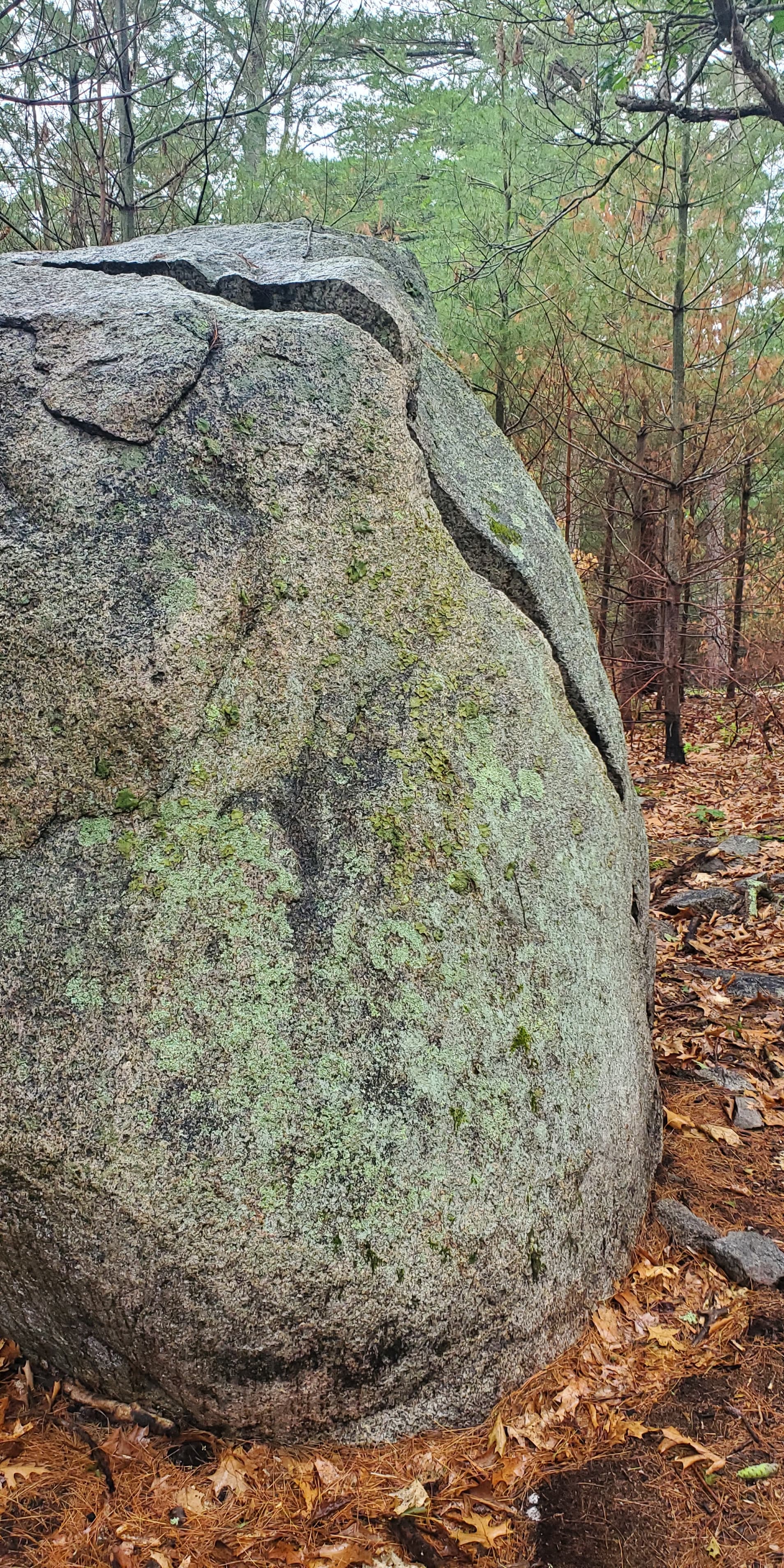 Photo of Toaster Boulder