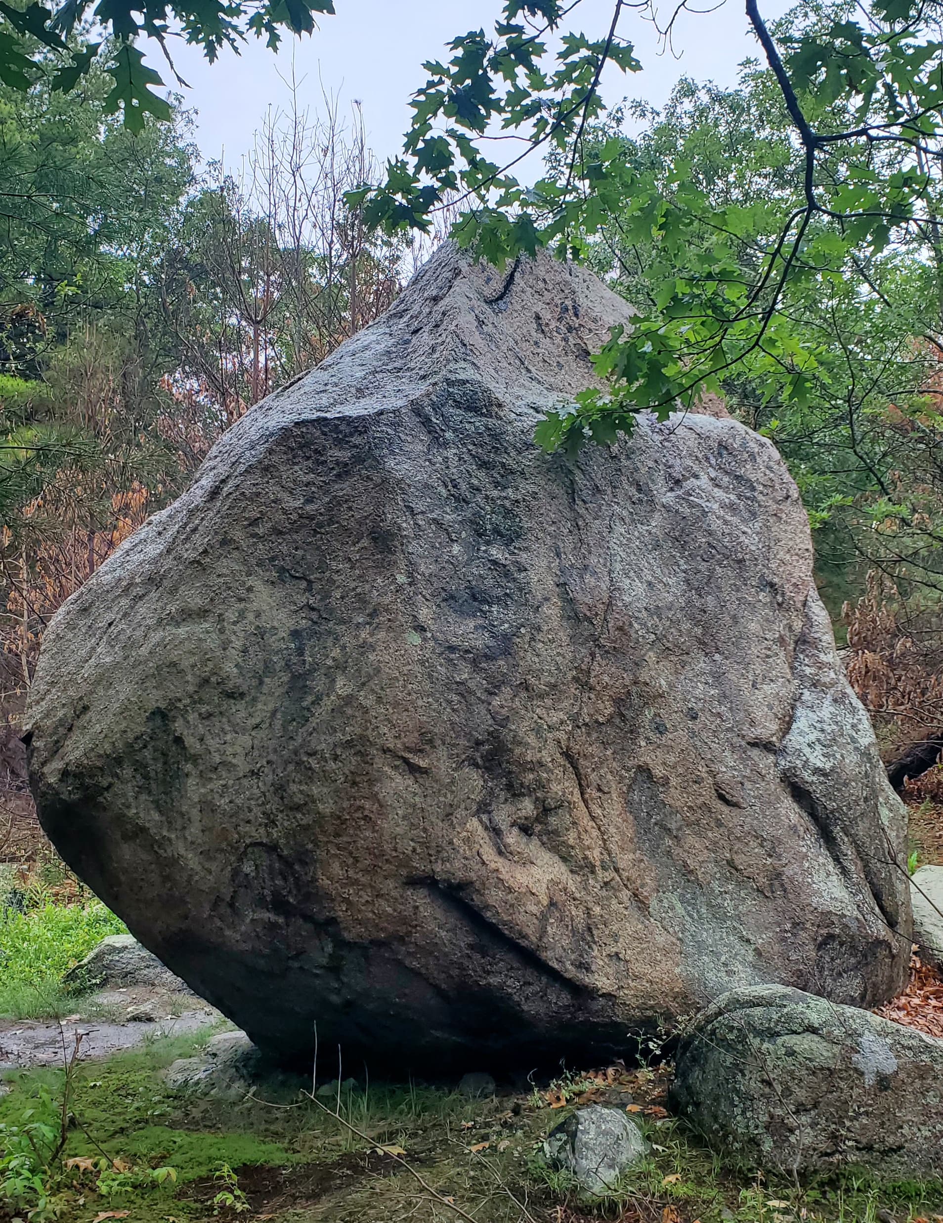 Photo of The Egg