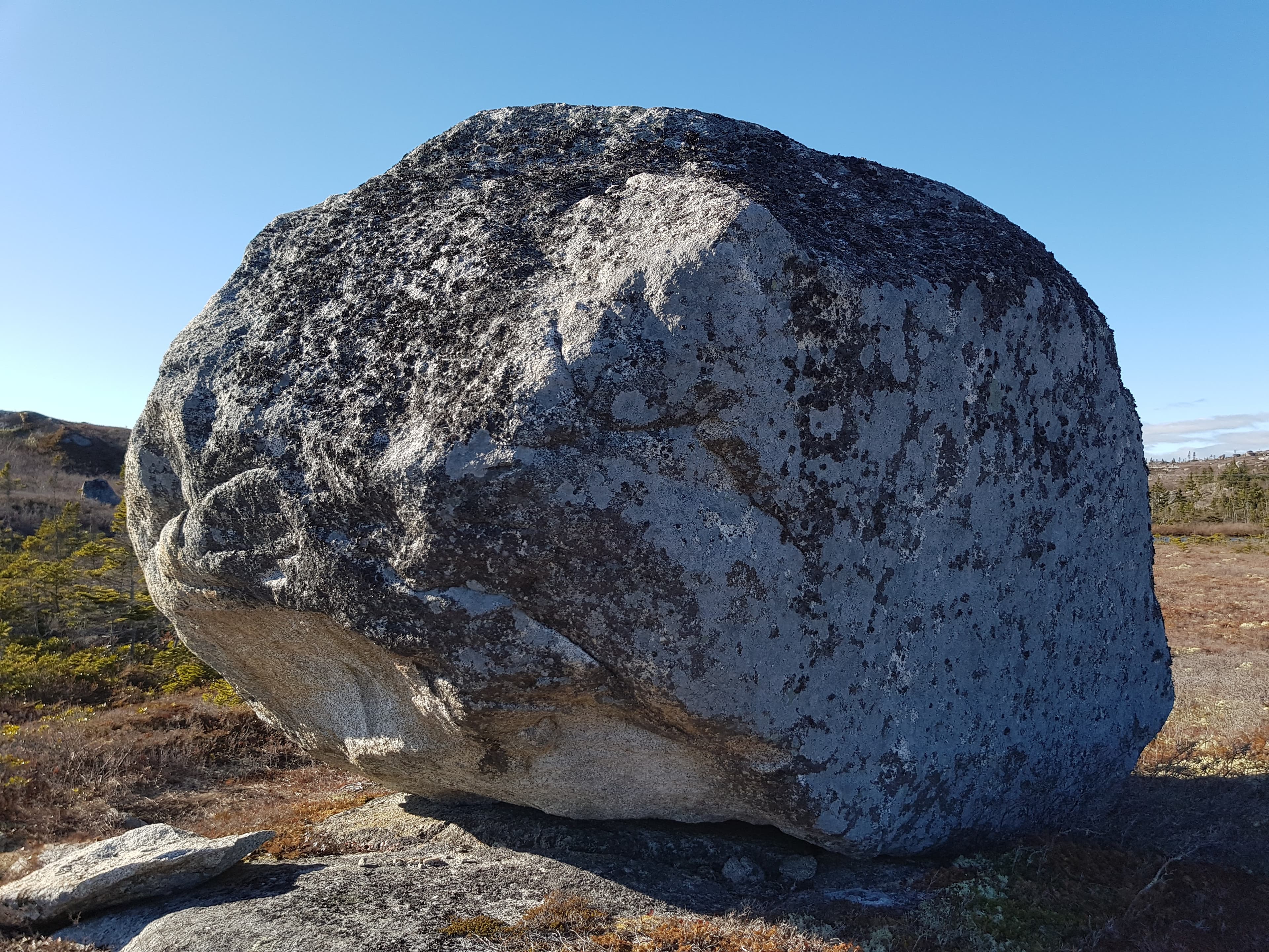 Photo of The Asteroids