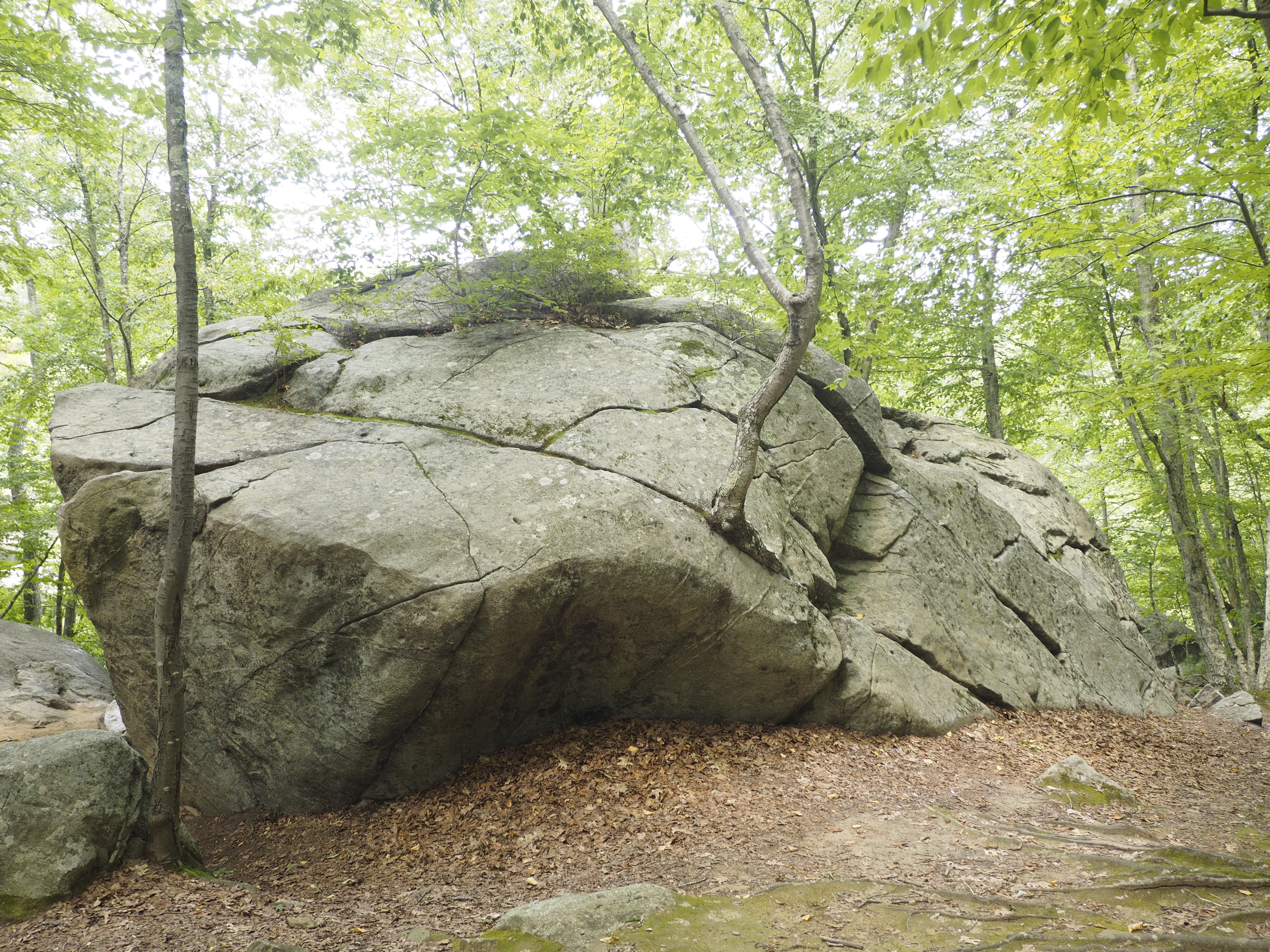 Photo of Great Slab / Wave Boulder