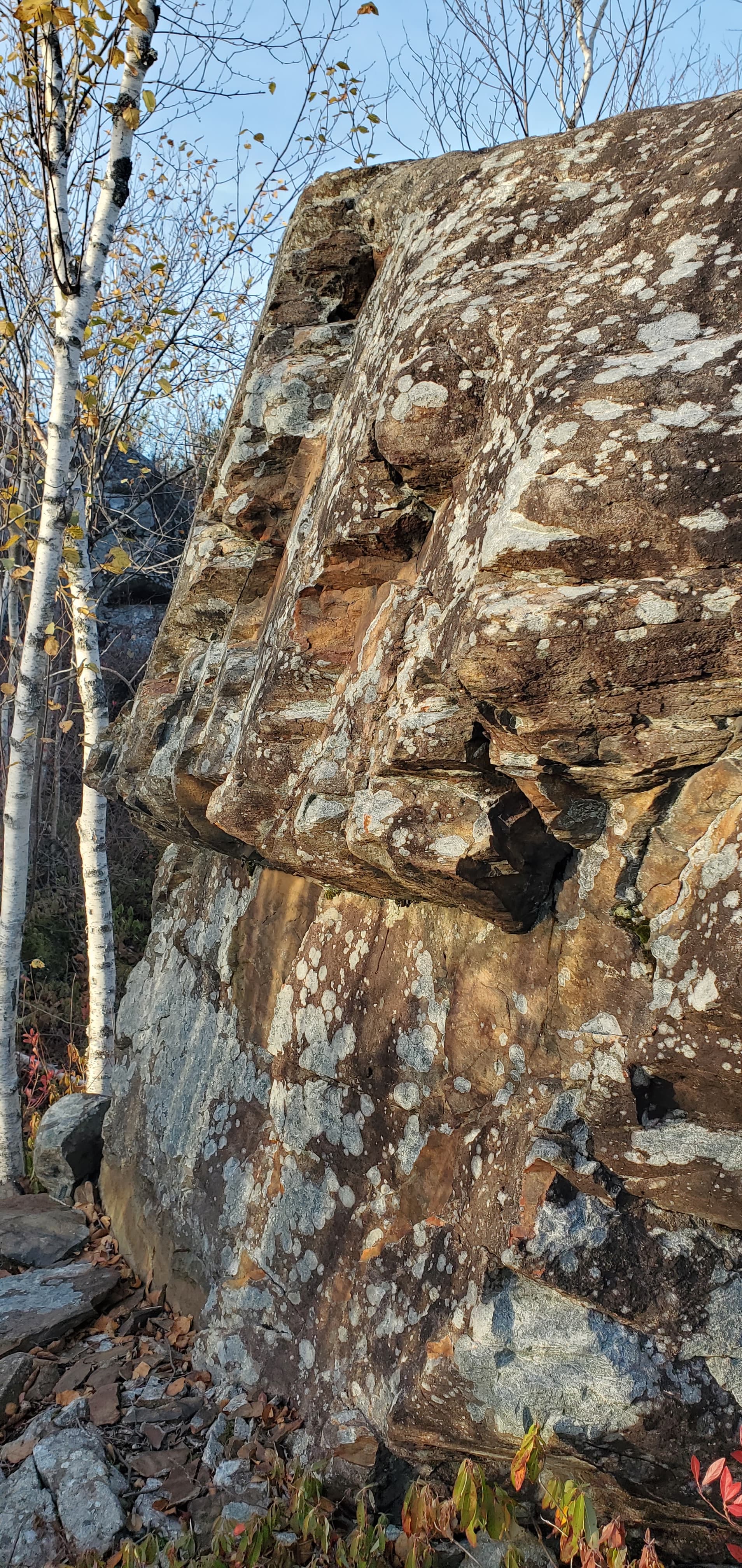 Photo of Shaw Wilderness Park