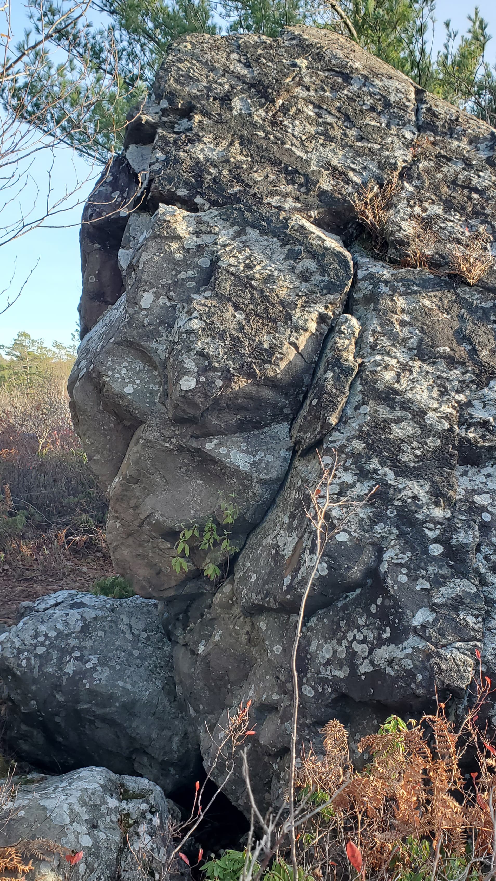 Photo of Shaw Wilderness Park