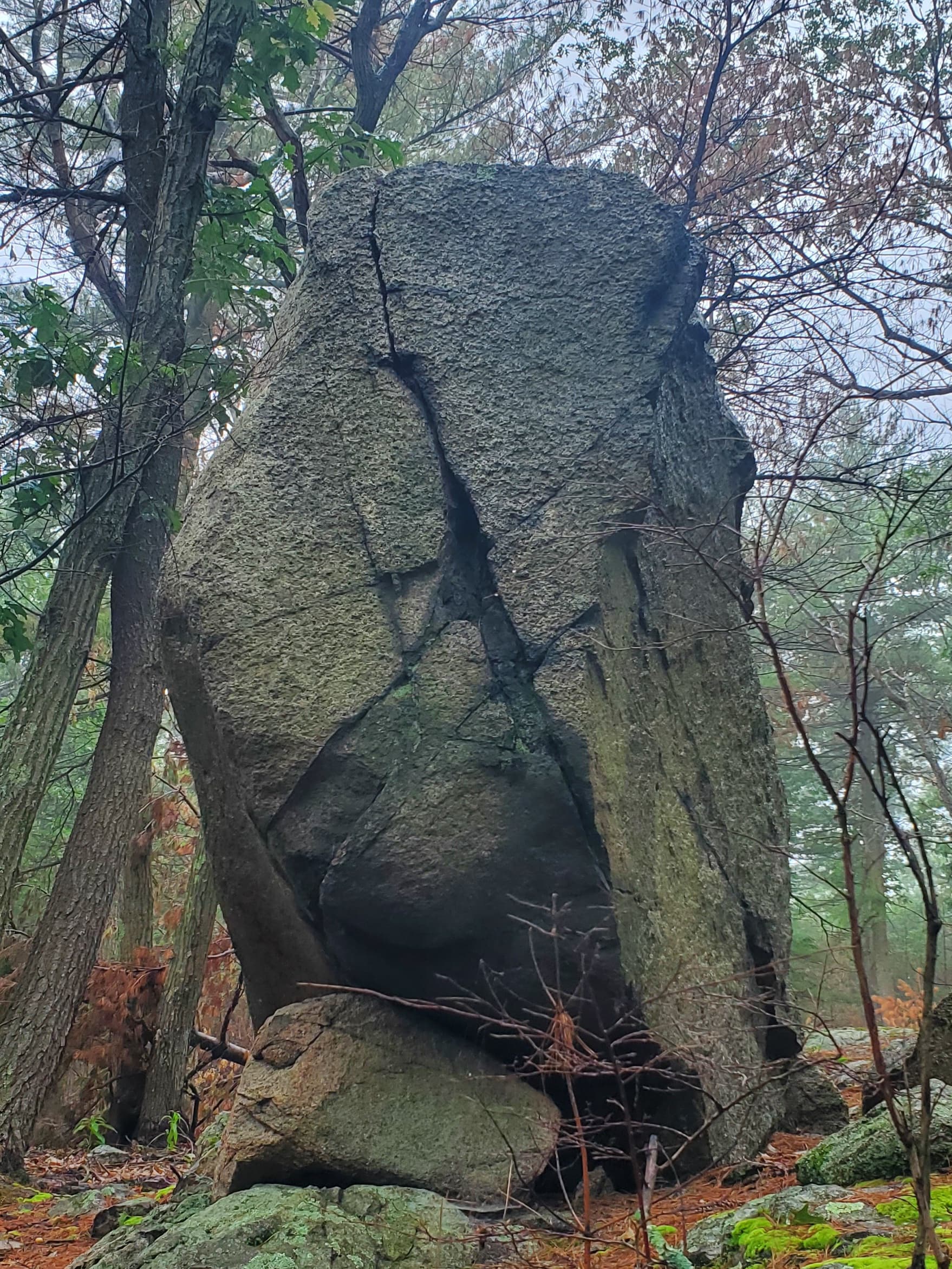 Photo of North Shore