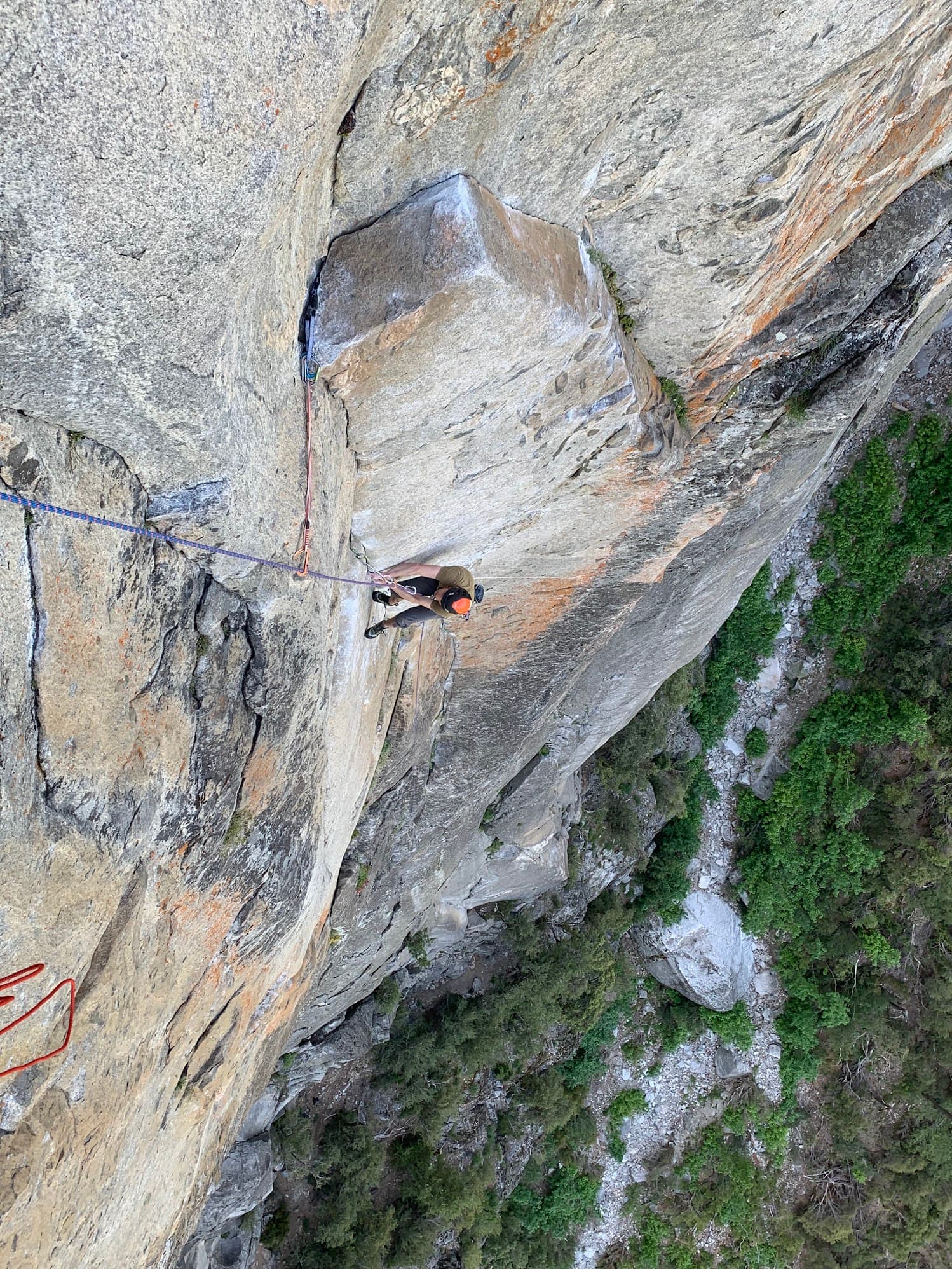 Photo of Fifi Buttress