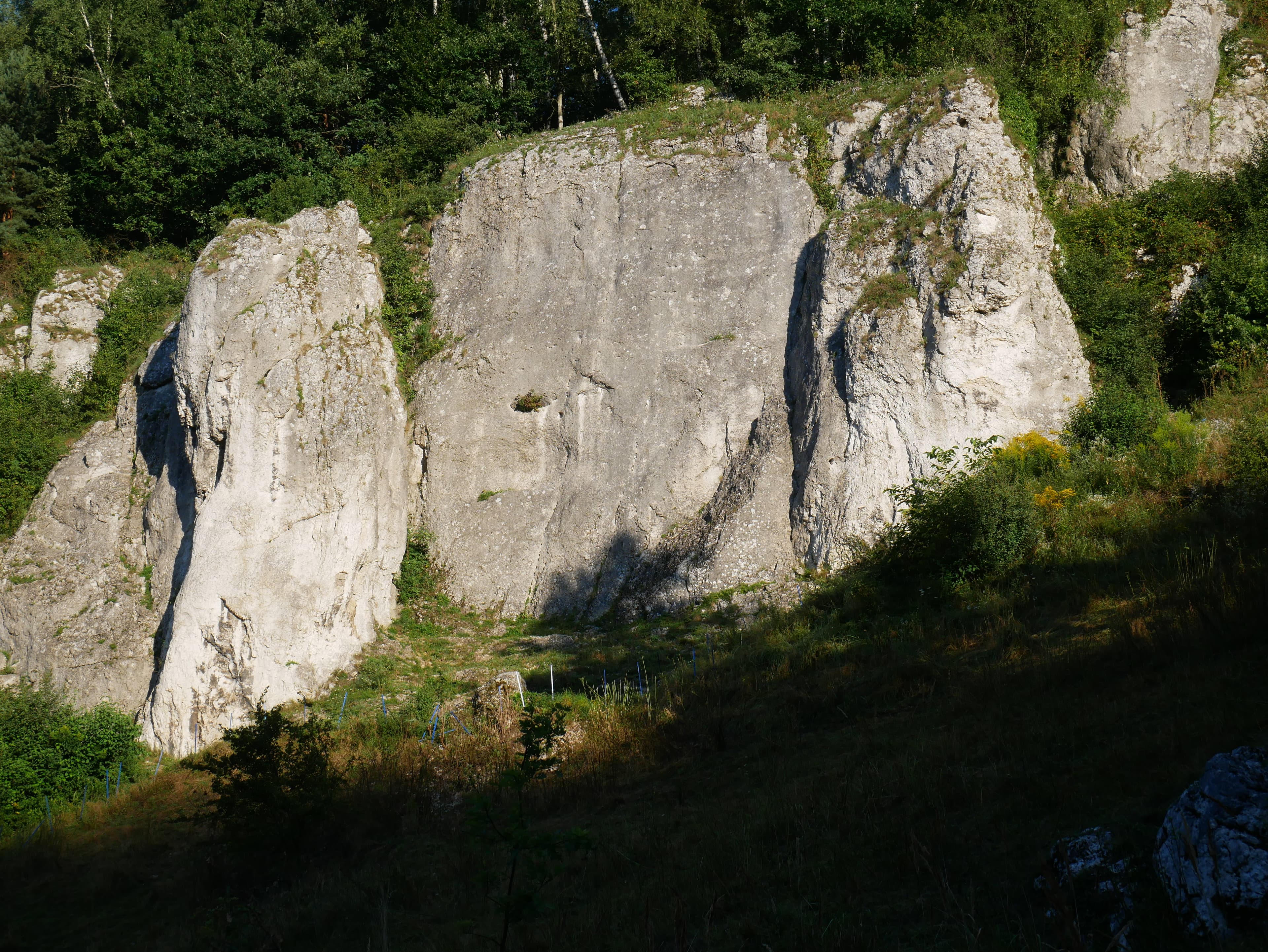 Photo of Test Area 2014