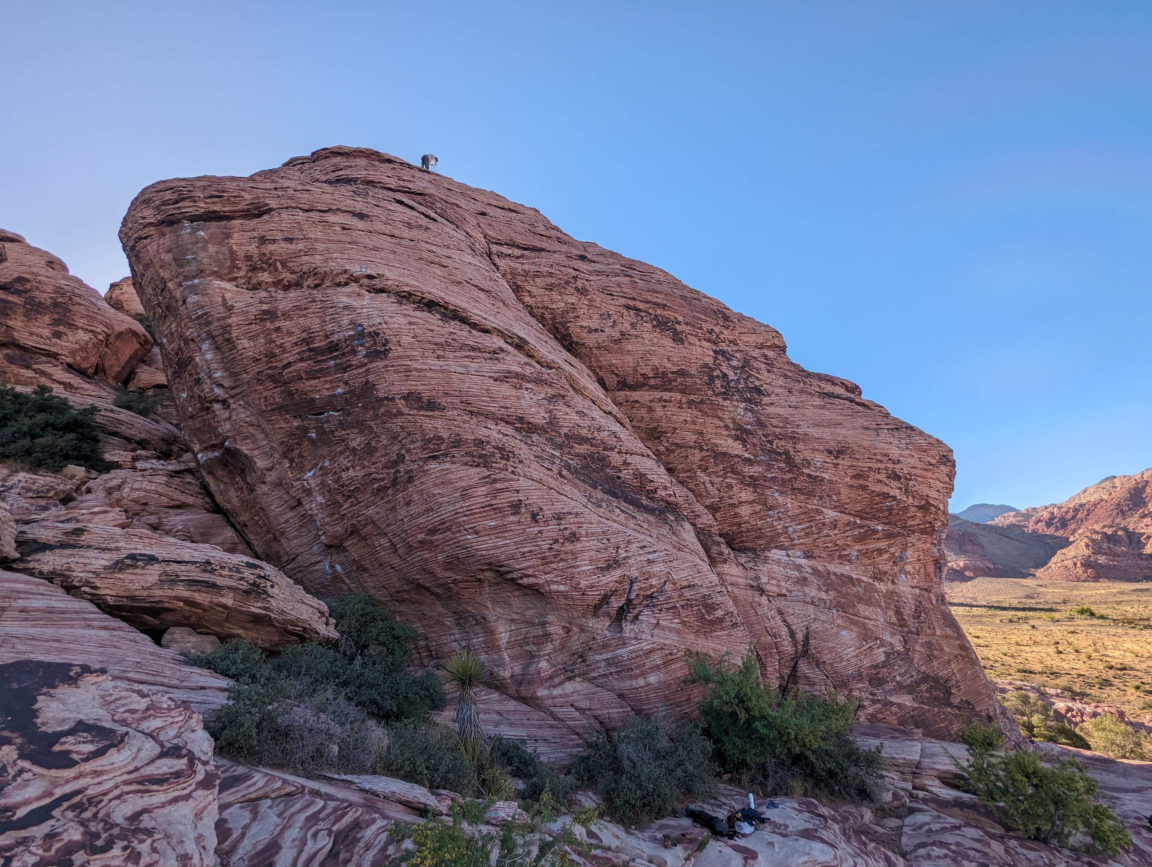 Photo of Calico Basin