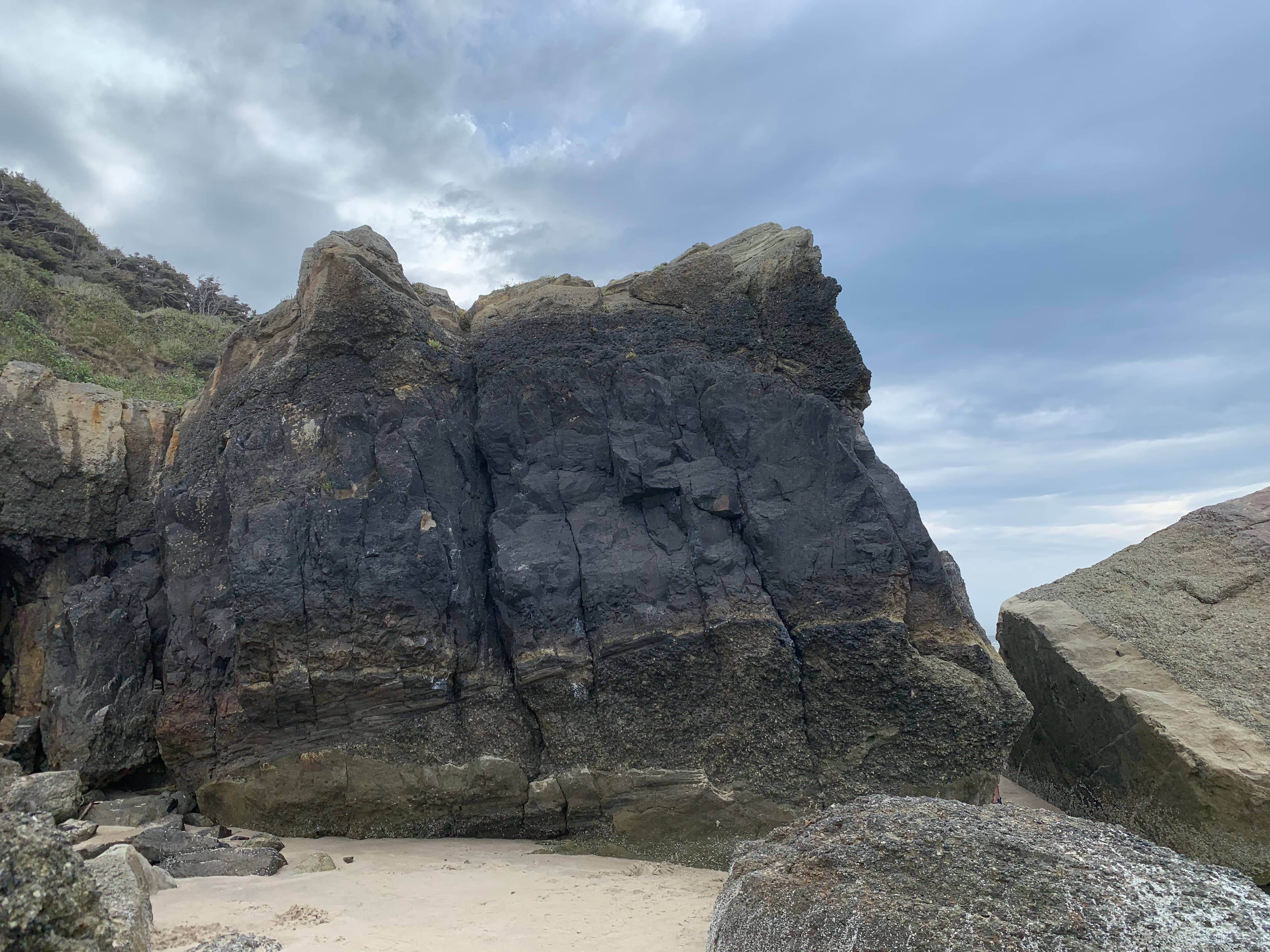 Photo of Northwest Coast