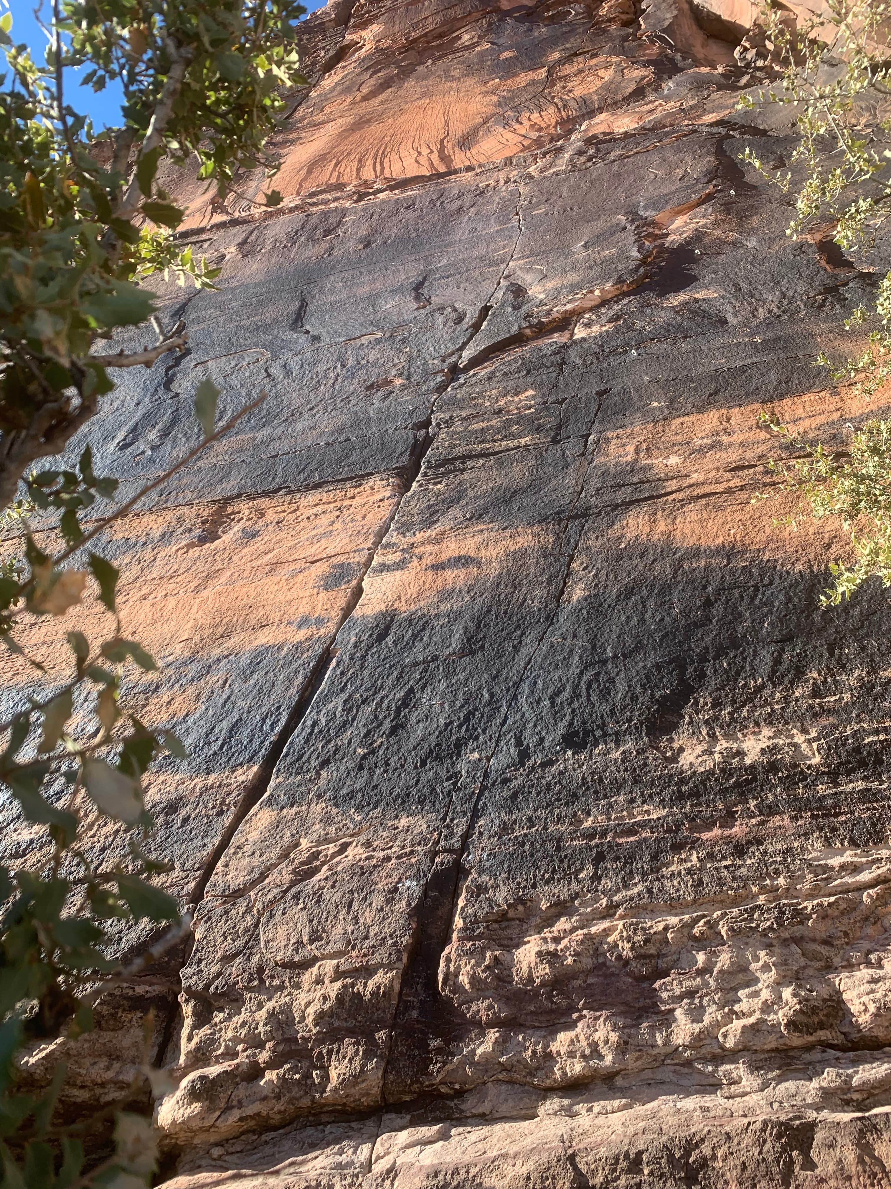 Photo of Straight Shooter Wall