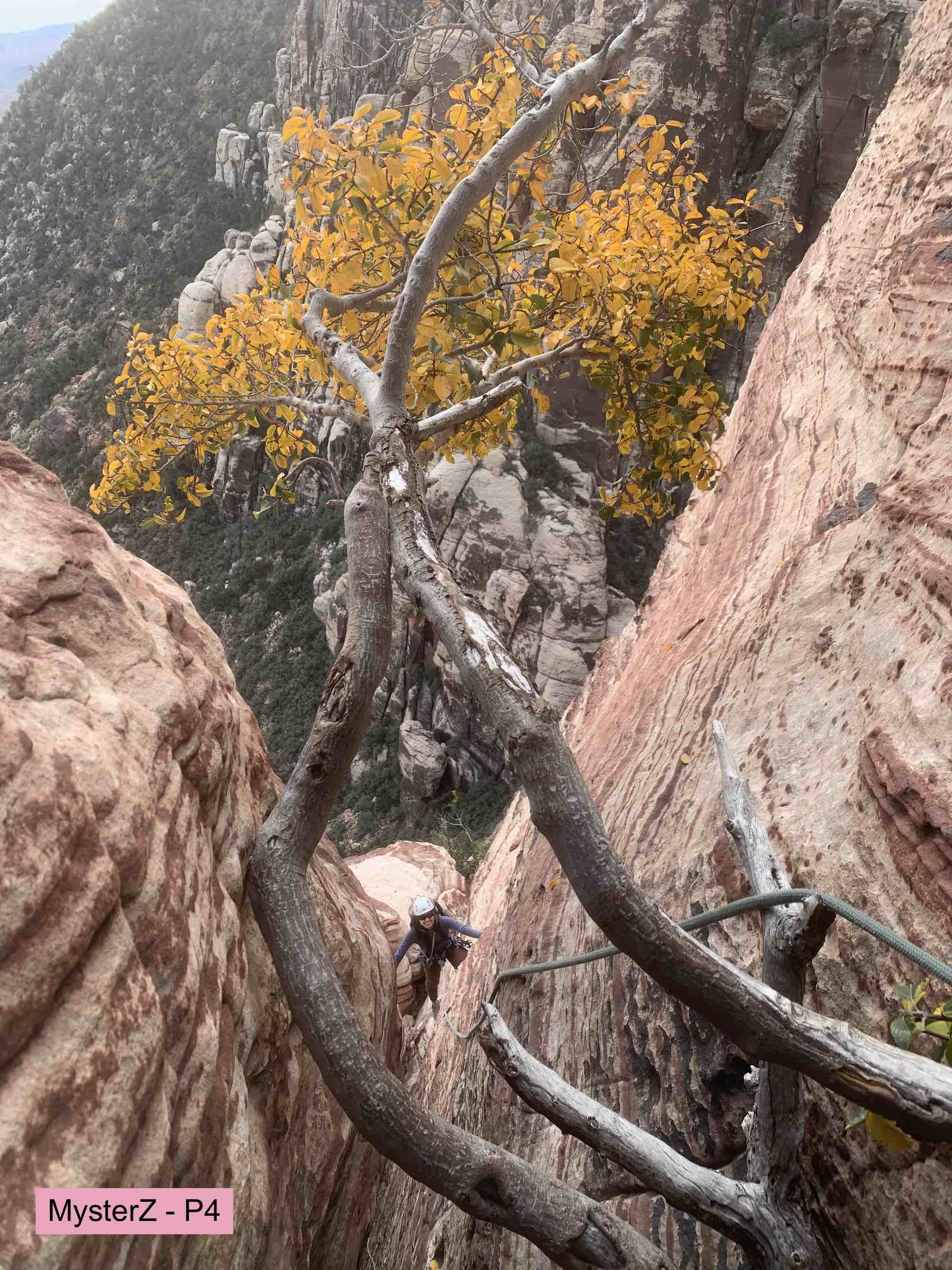 Photo of Jackrabbit Buttress