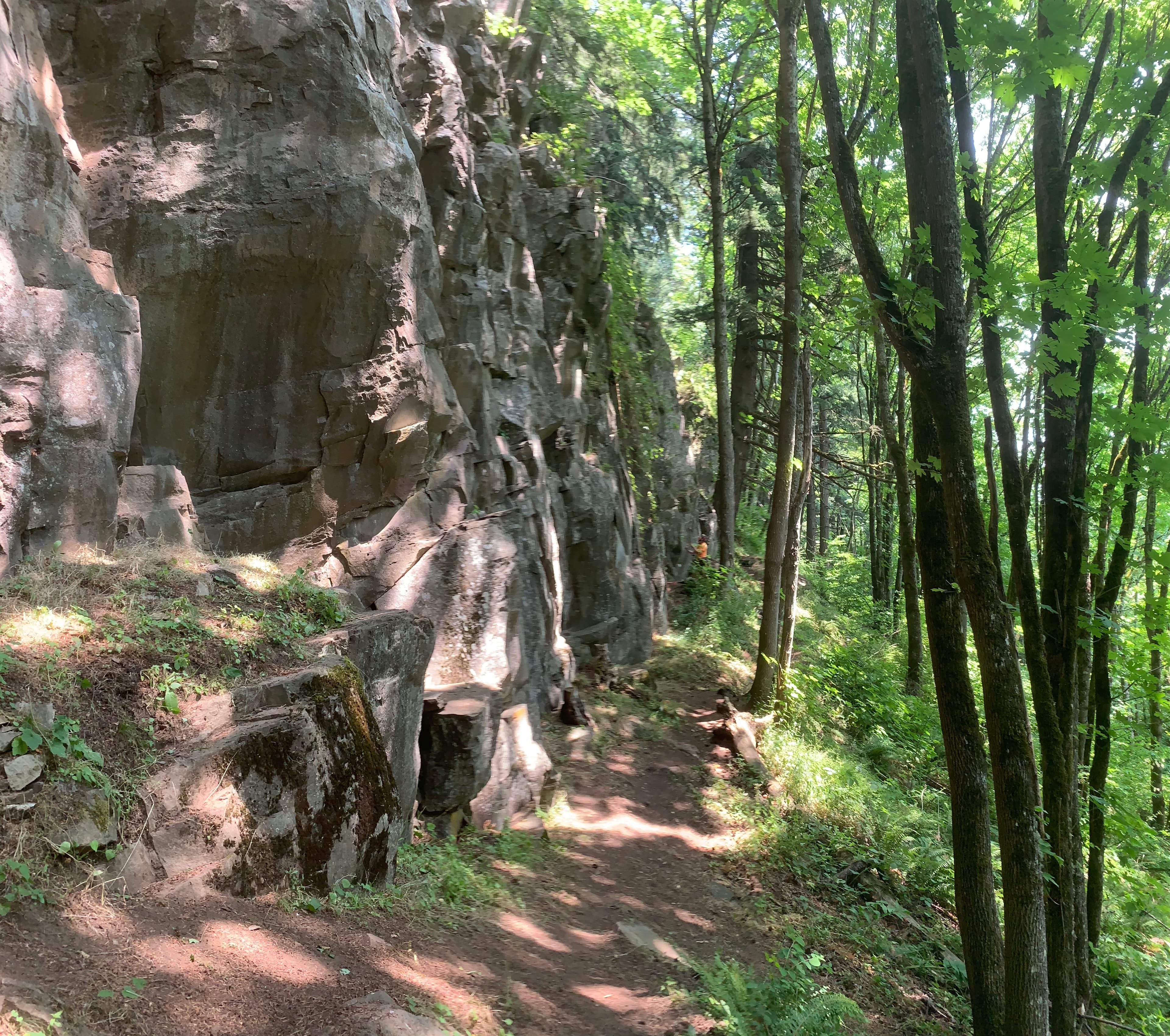 Photo of Southwest Cascades