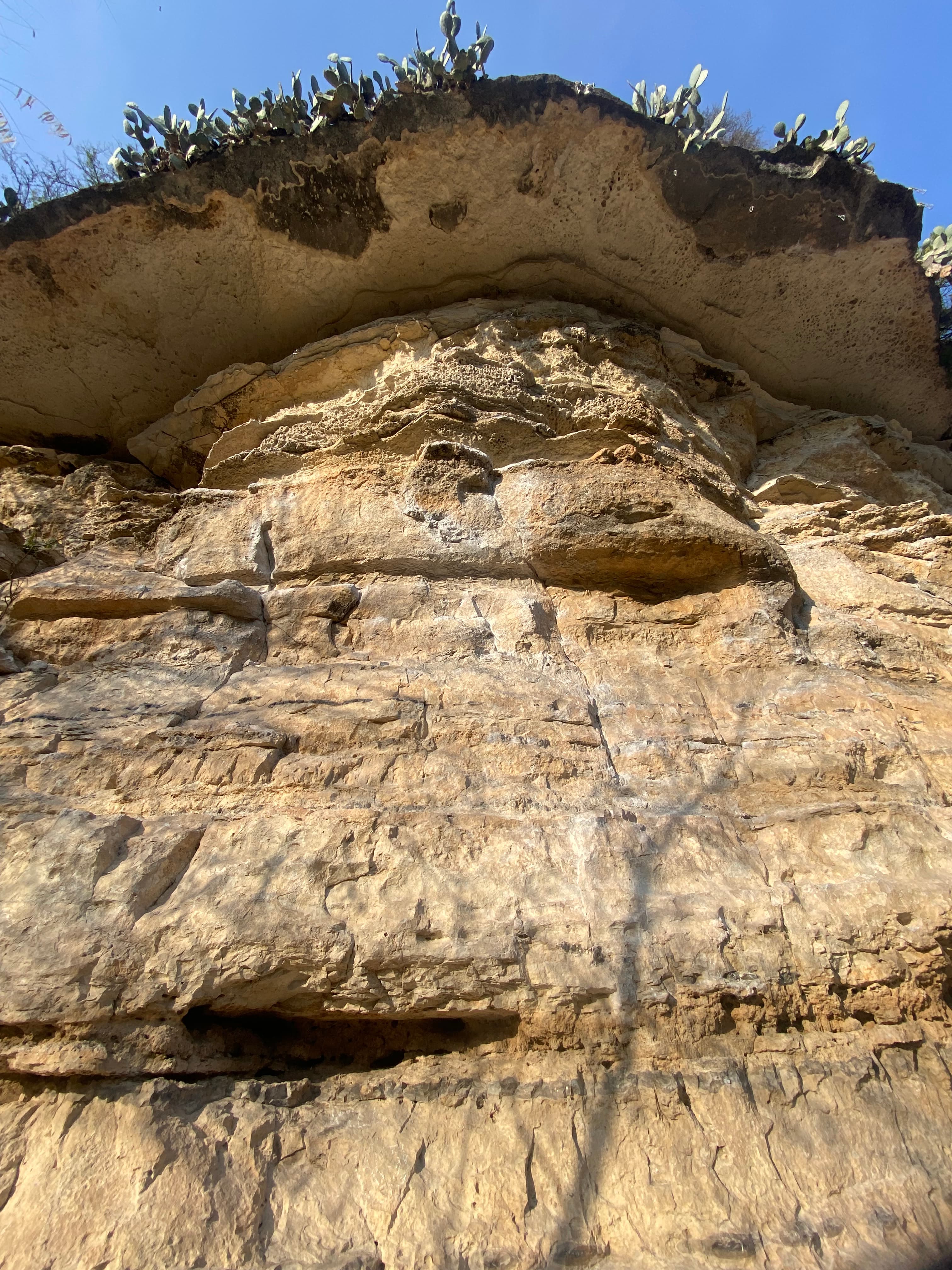 Photo of Seismic Wall A.K.A. Maggie's Wall