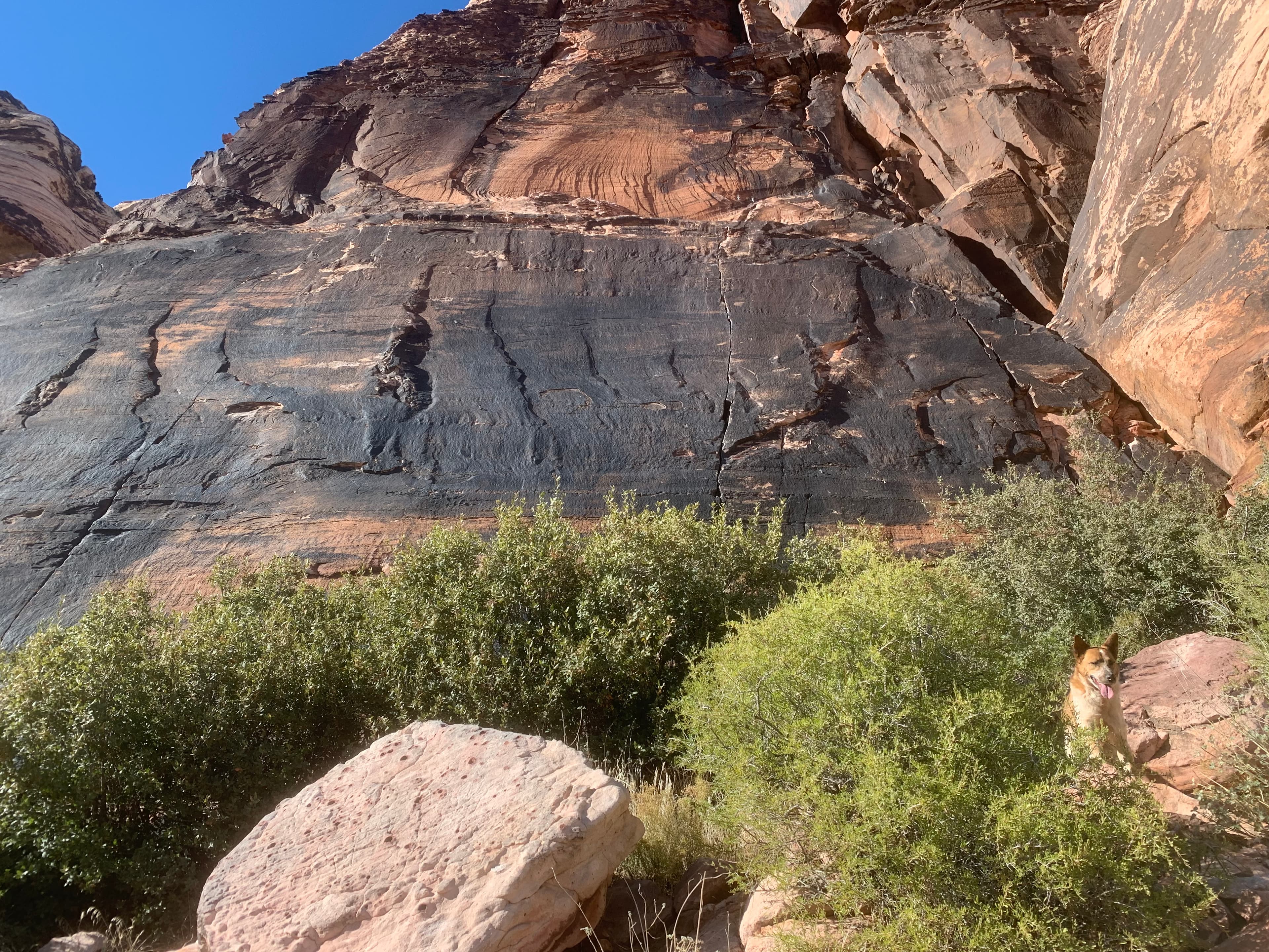 Photo of Straight Shooter Wall