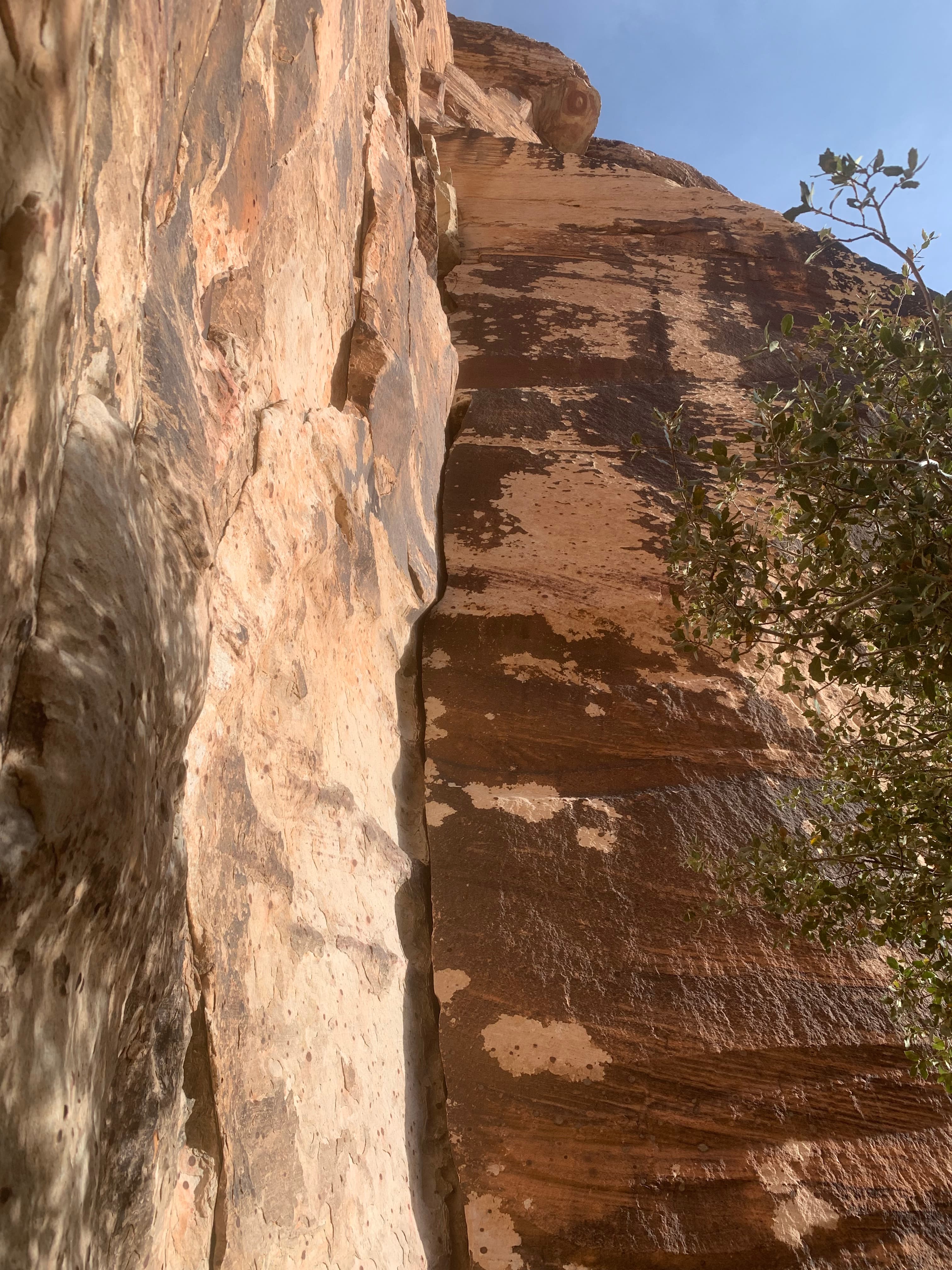 Photo of Pine Creek Canyon