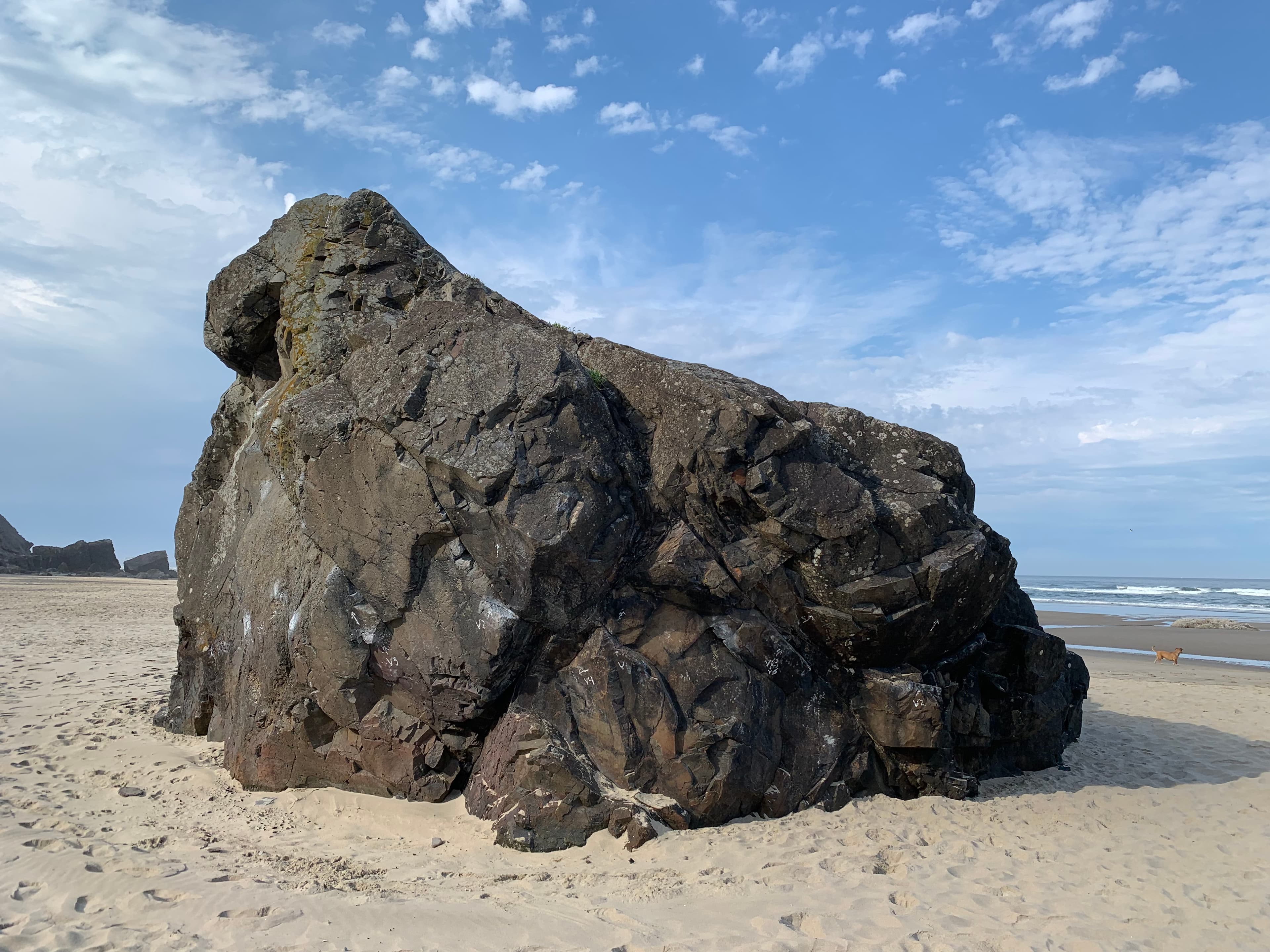 Photo of Northwest Coast