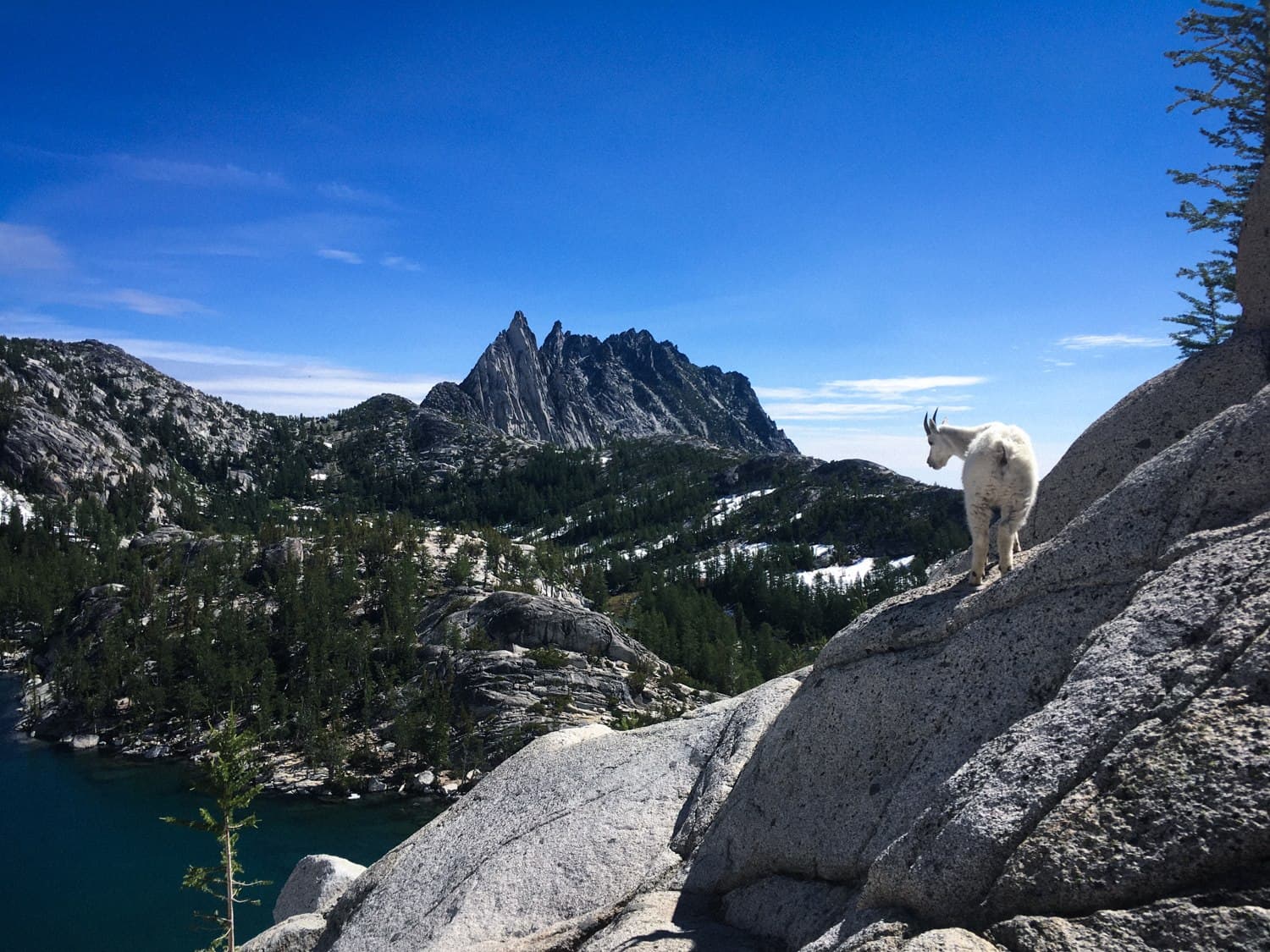 Photo of Prusik Peak