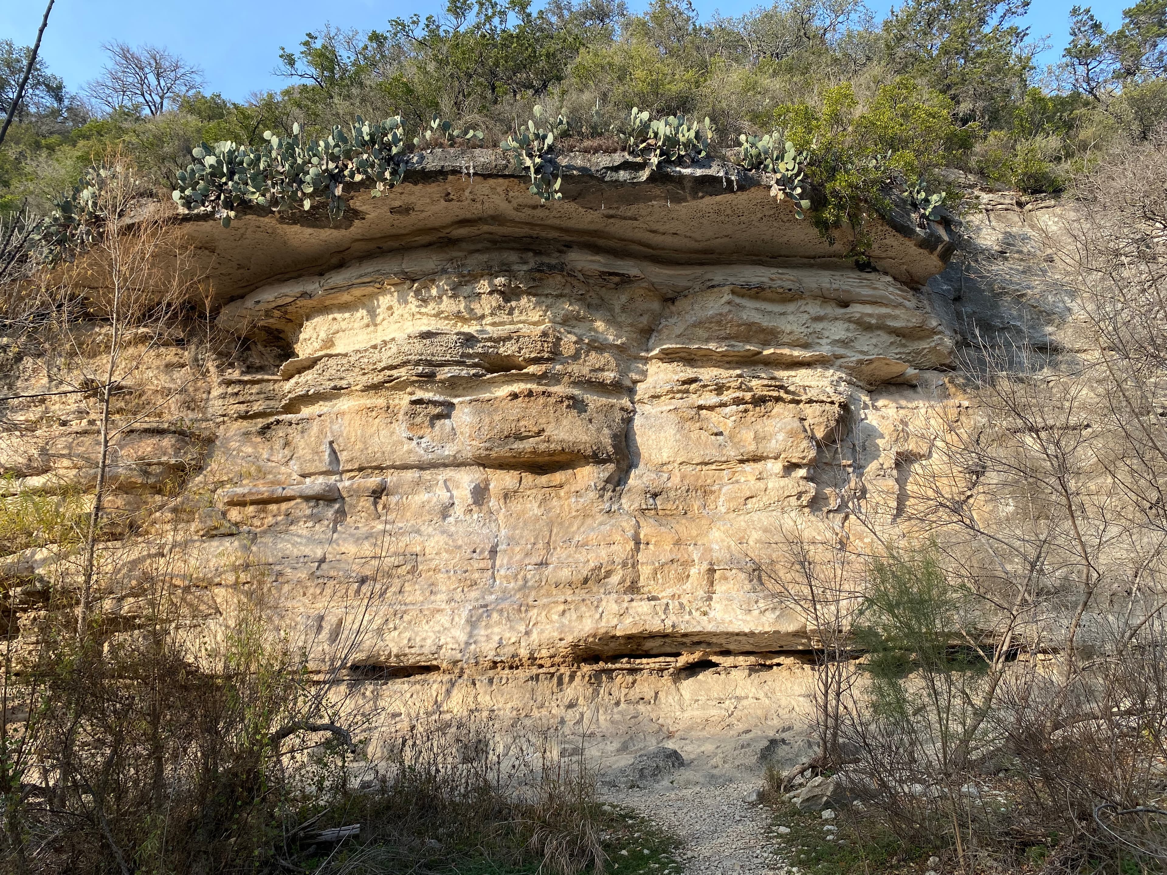 Photo of Seismic Wall A.K.A. Maggie's Wall