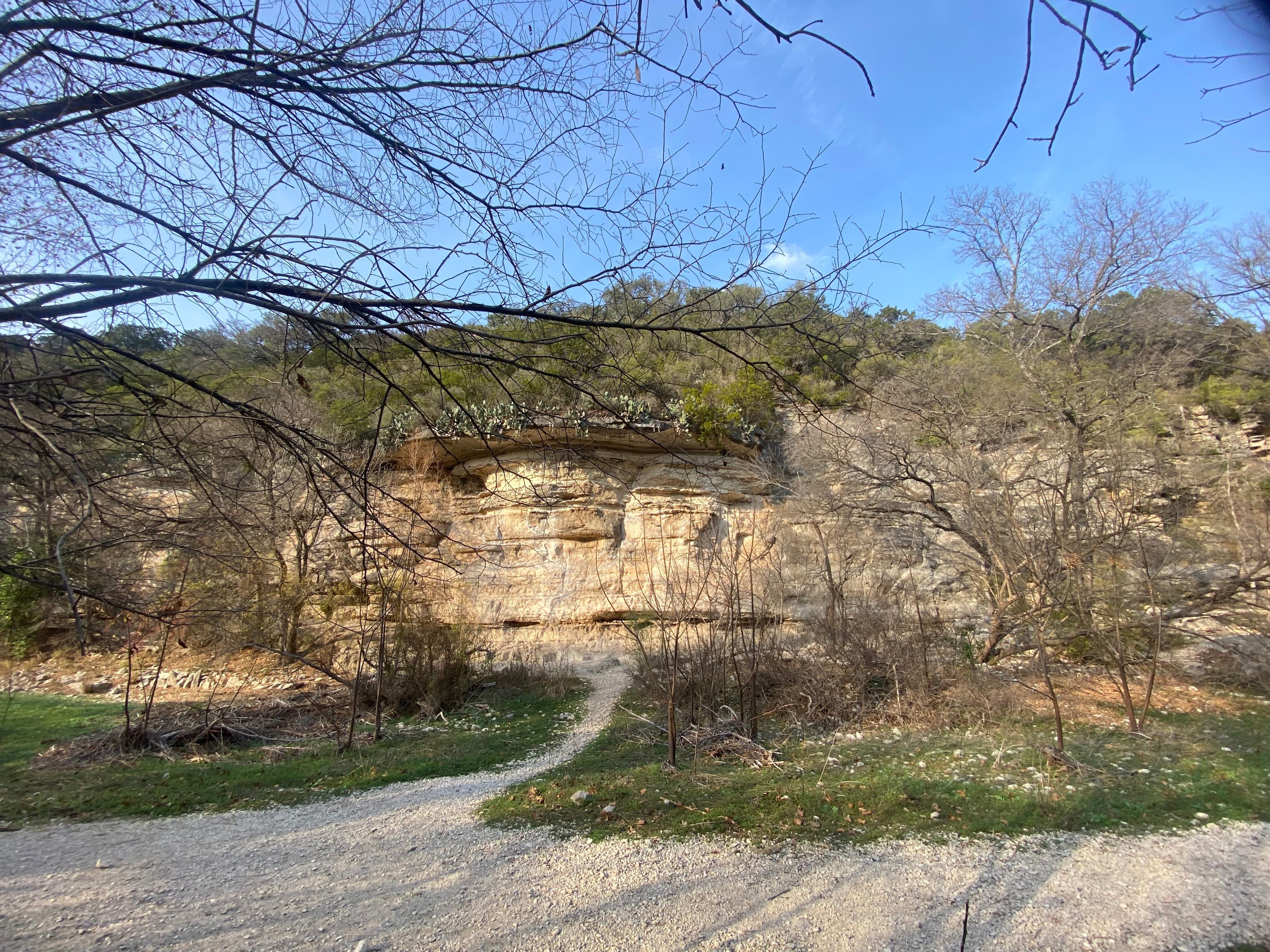 Photo of Seismic Wall A.K.A. Maggie's Wall