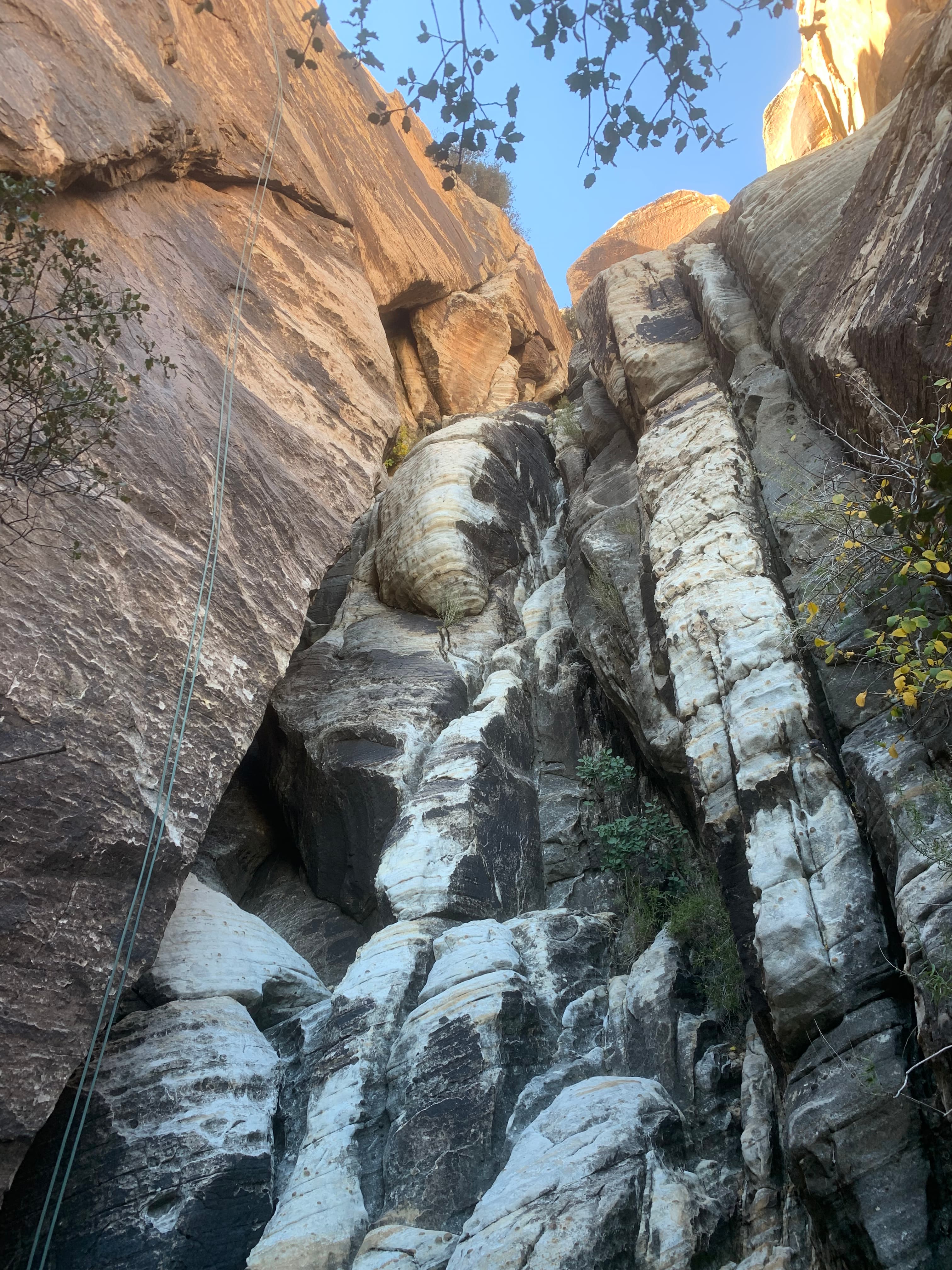 Photo of Oak Creek Canyon