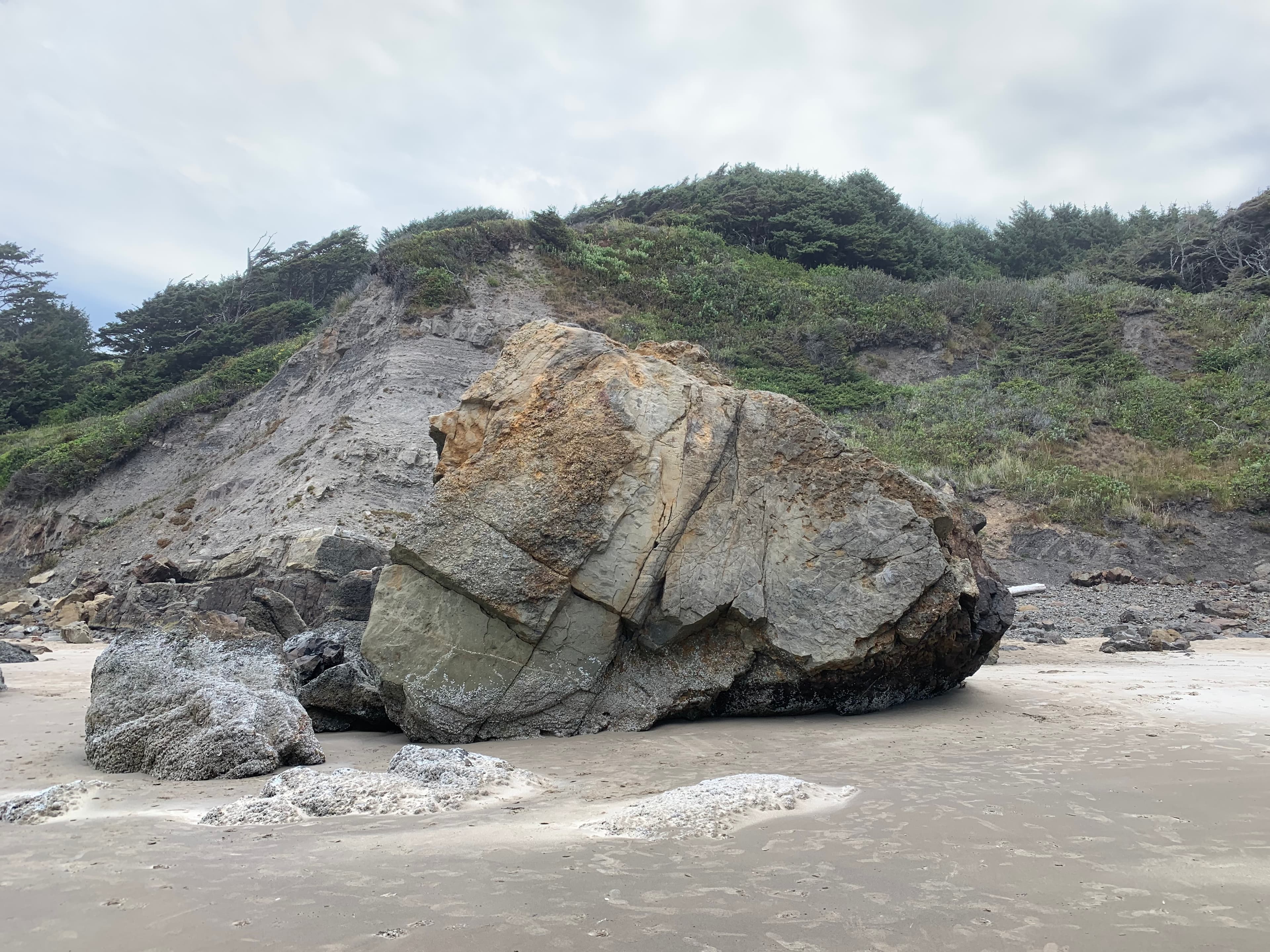 Photo of Northwest Coast