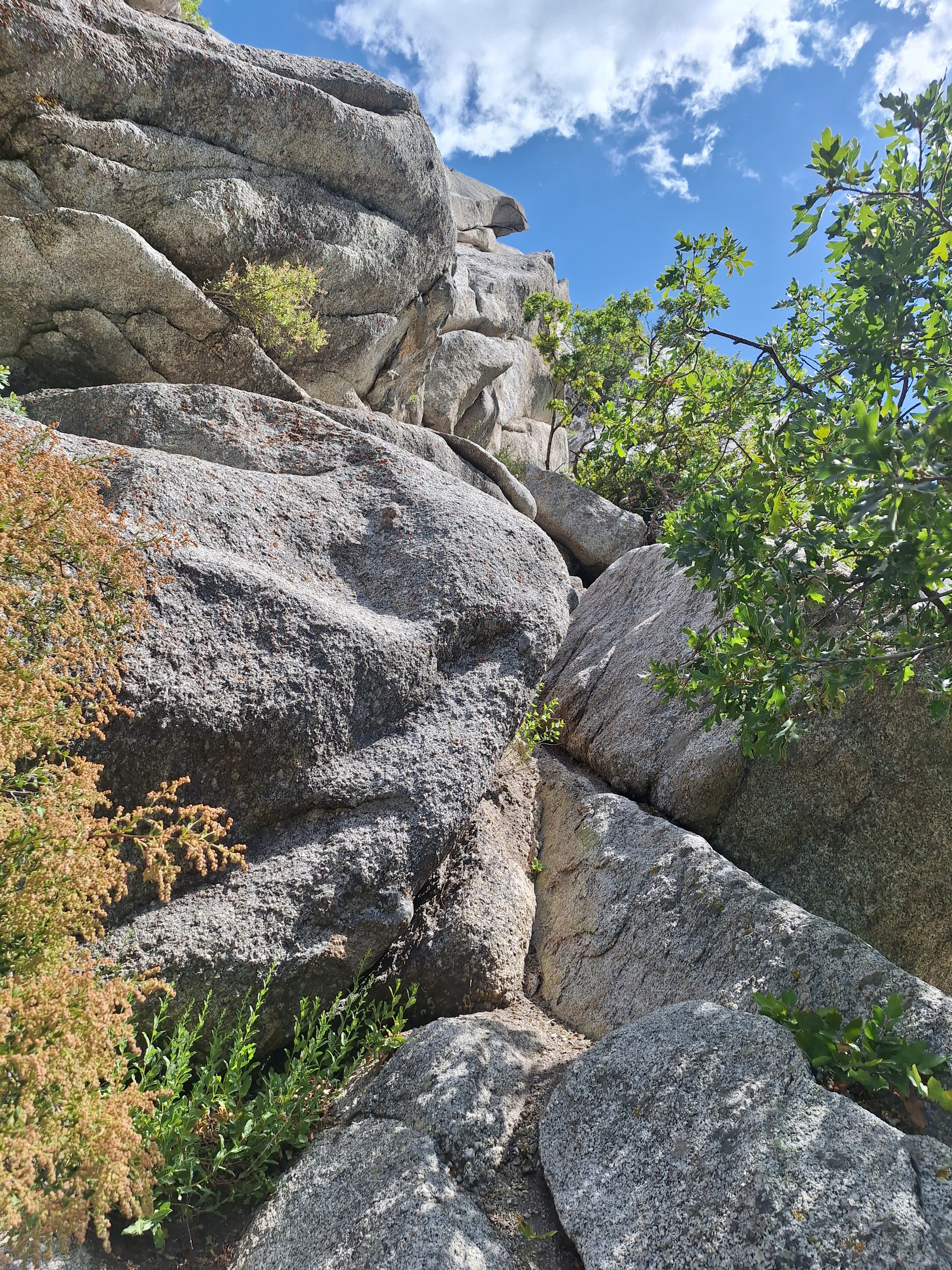 Photo of Lizard Head Wall