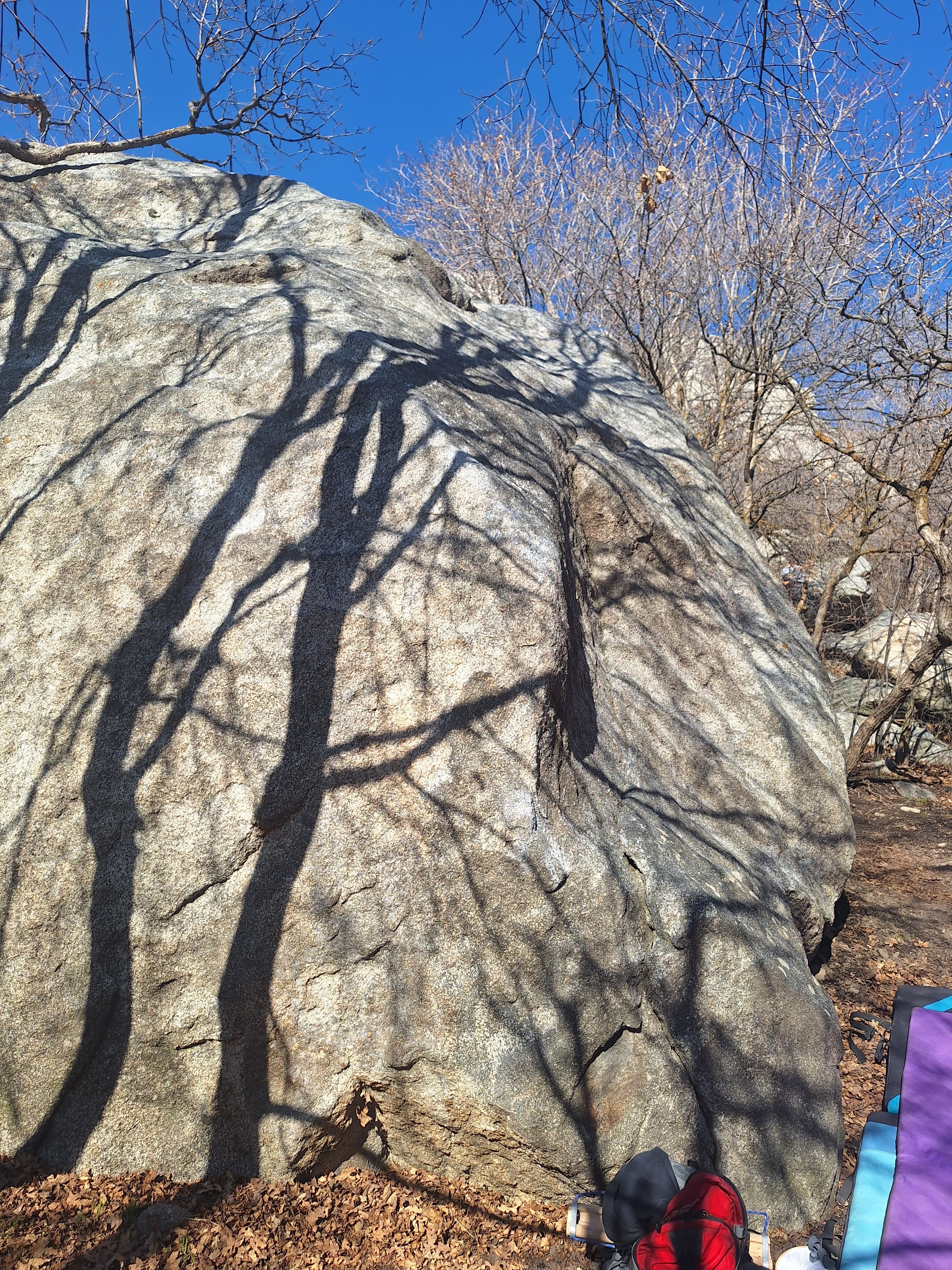 Photo of Boulders - Little Cottonwood