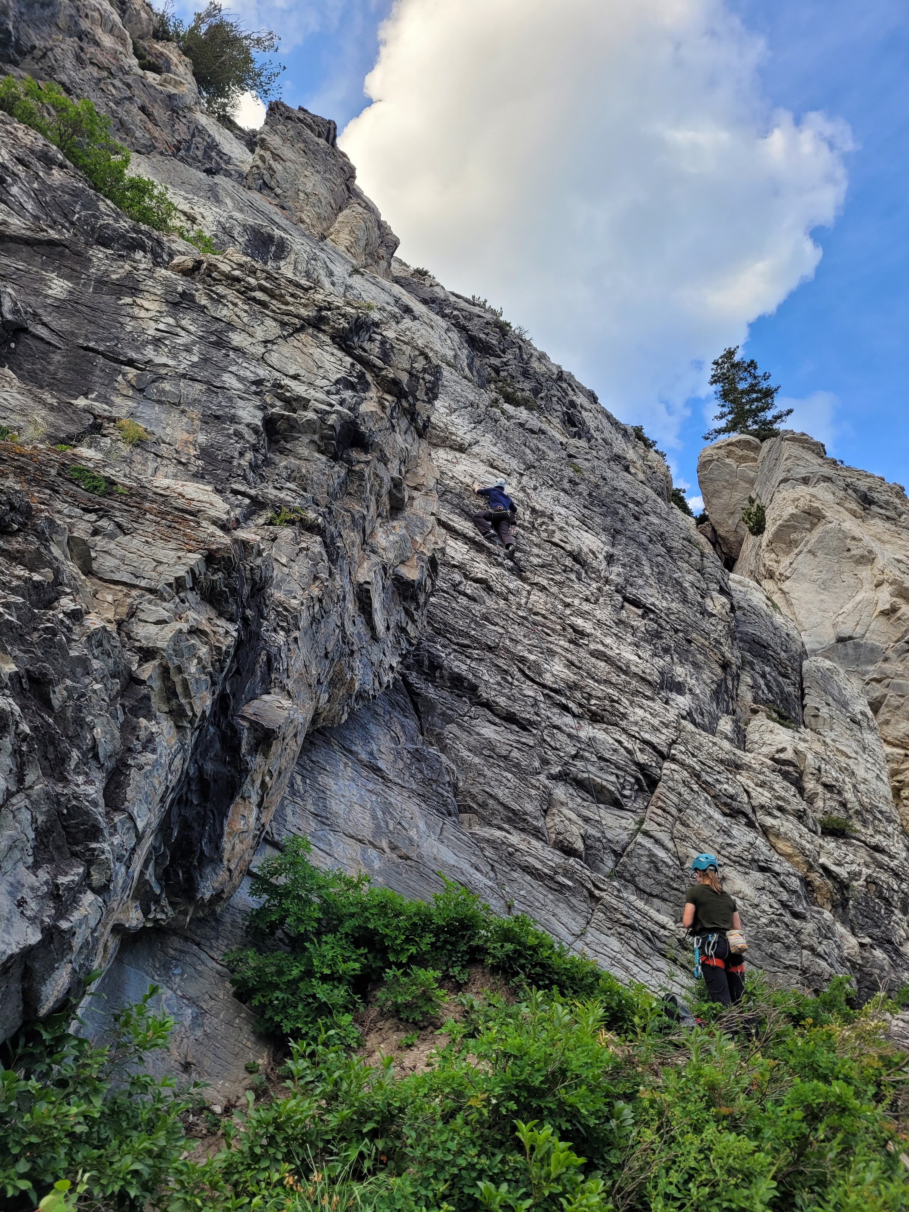 Photo of Little Cottonwood Canyon