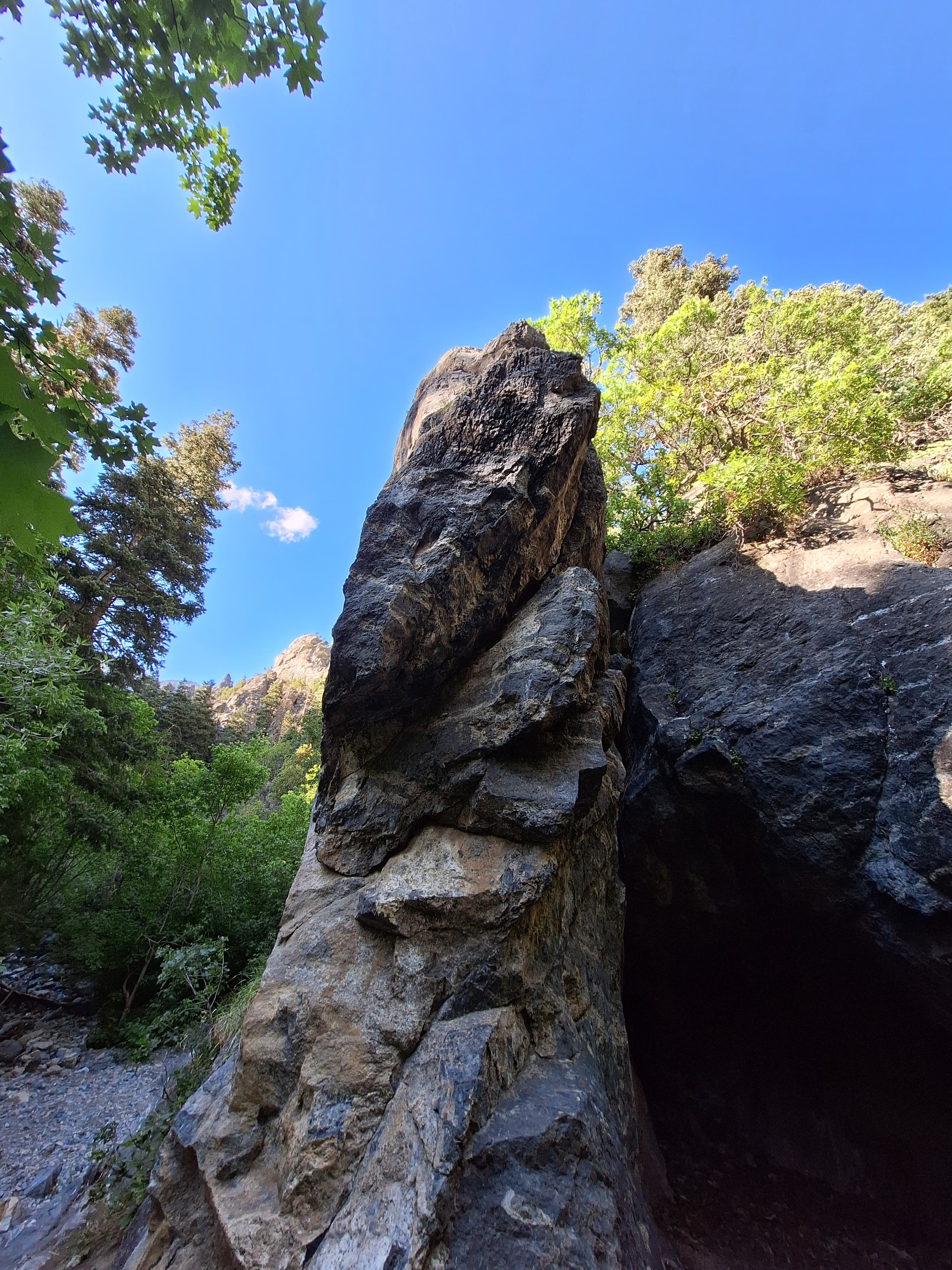 Photo of Test Area 2014