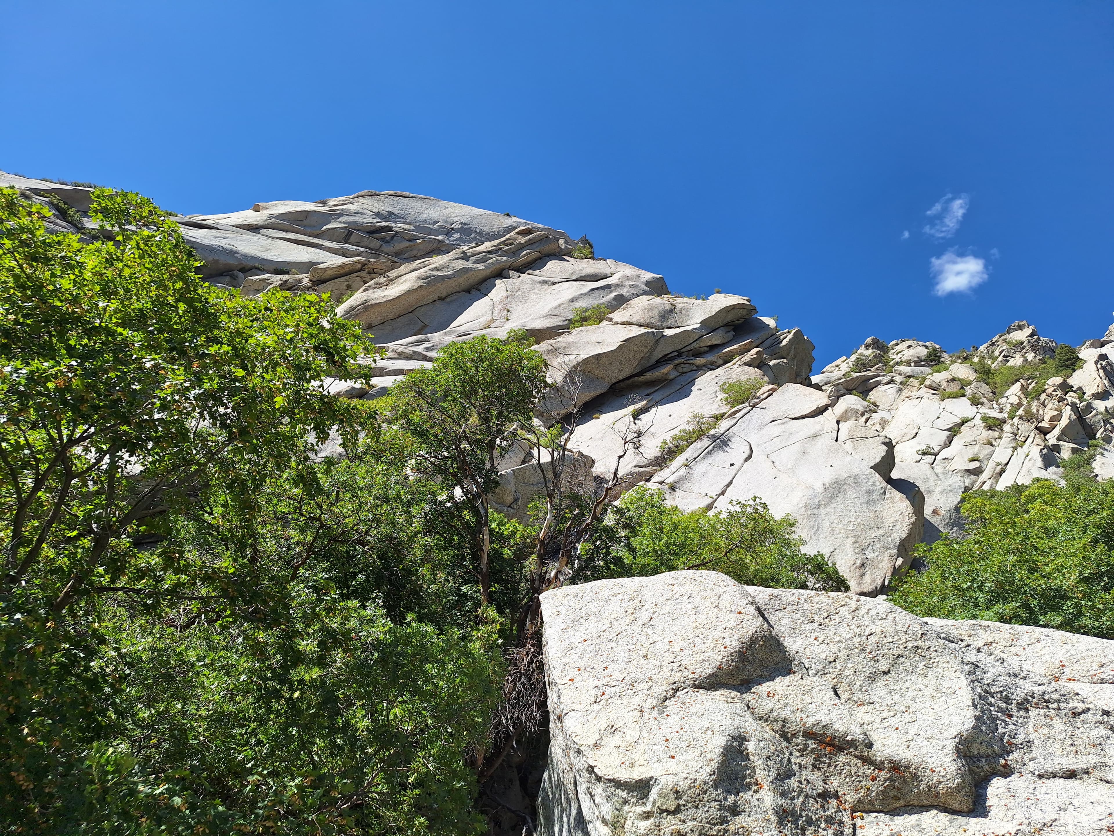 Photo of Lizard Head Wall