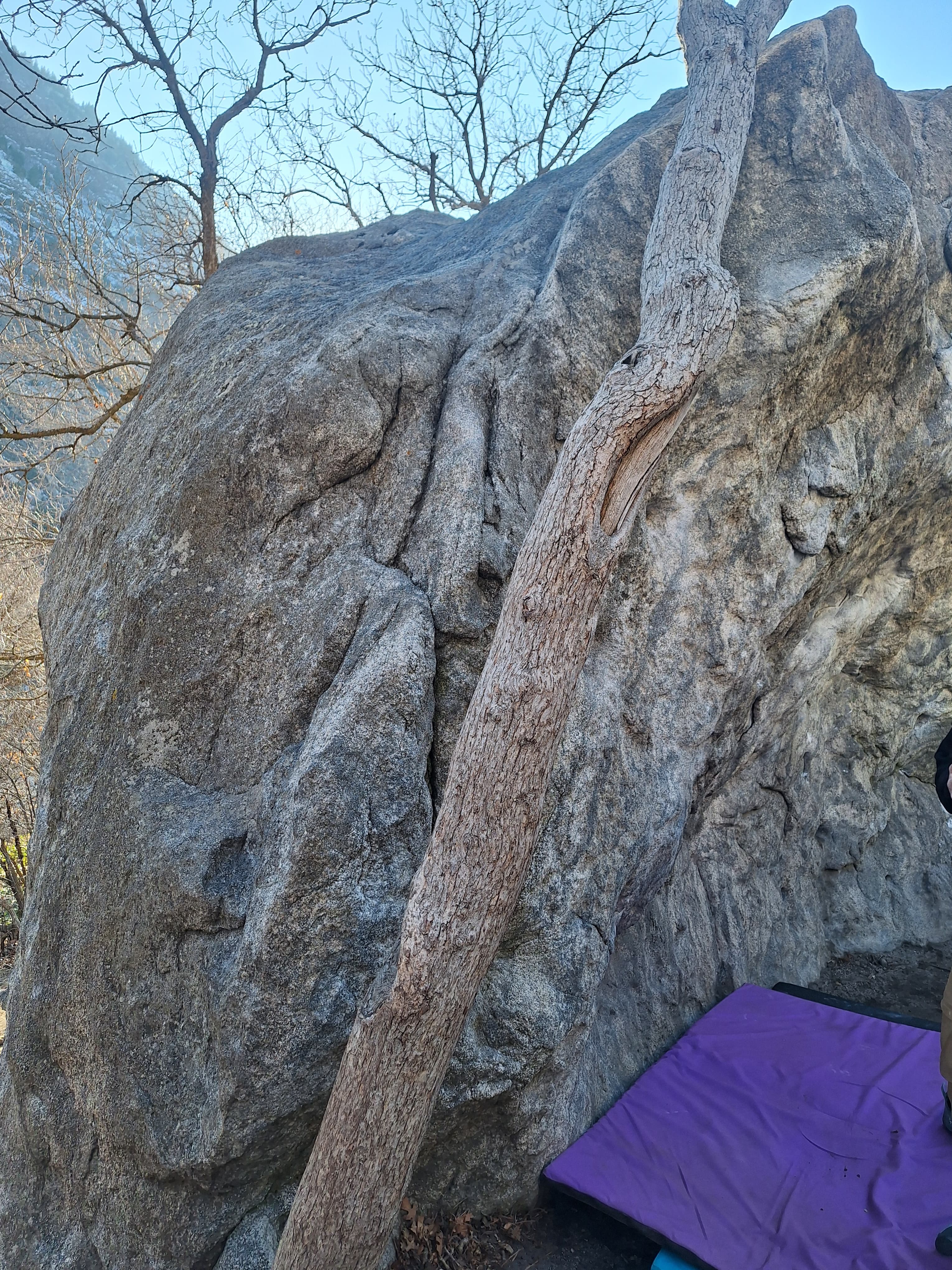 Photo of Little Cottonwood Canyon