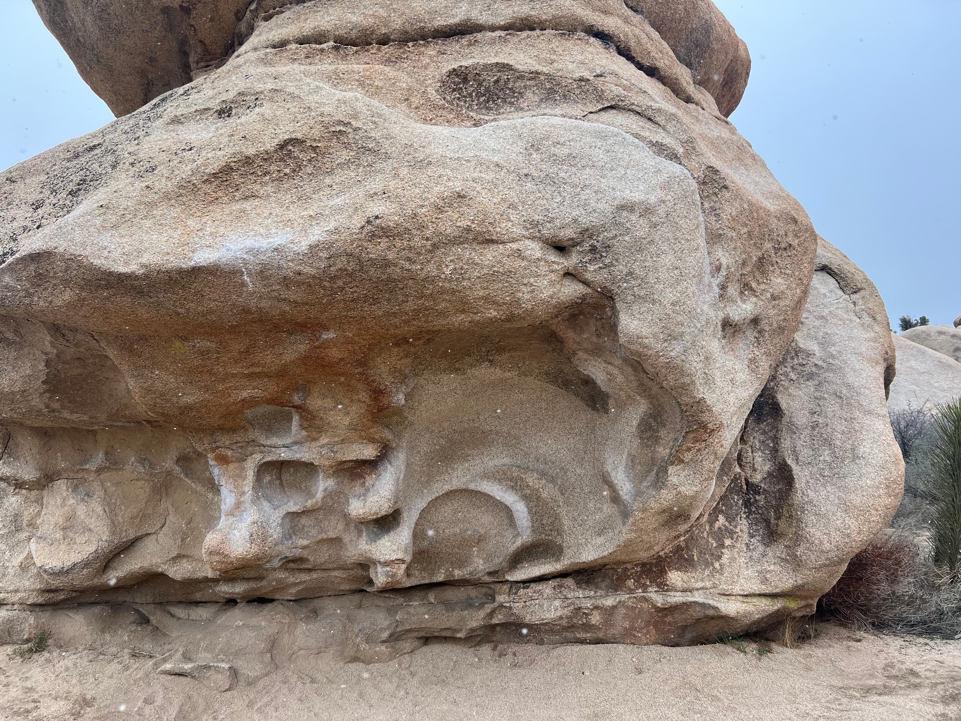 Photo of Joshua Tree National Park