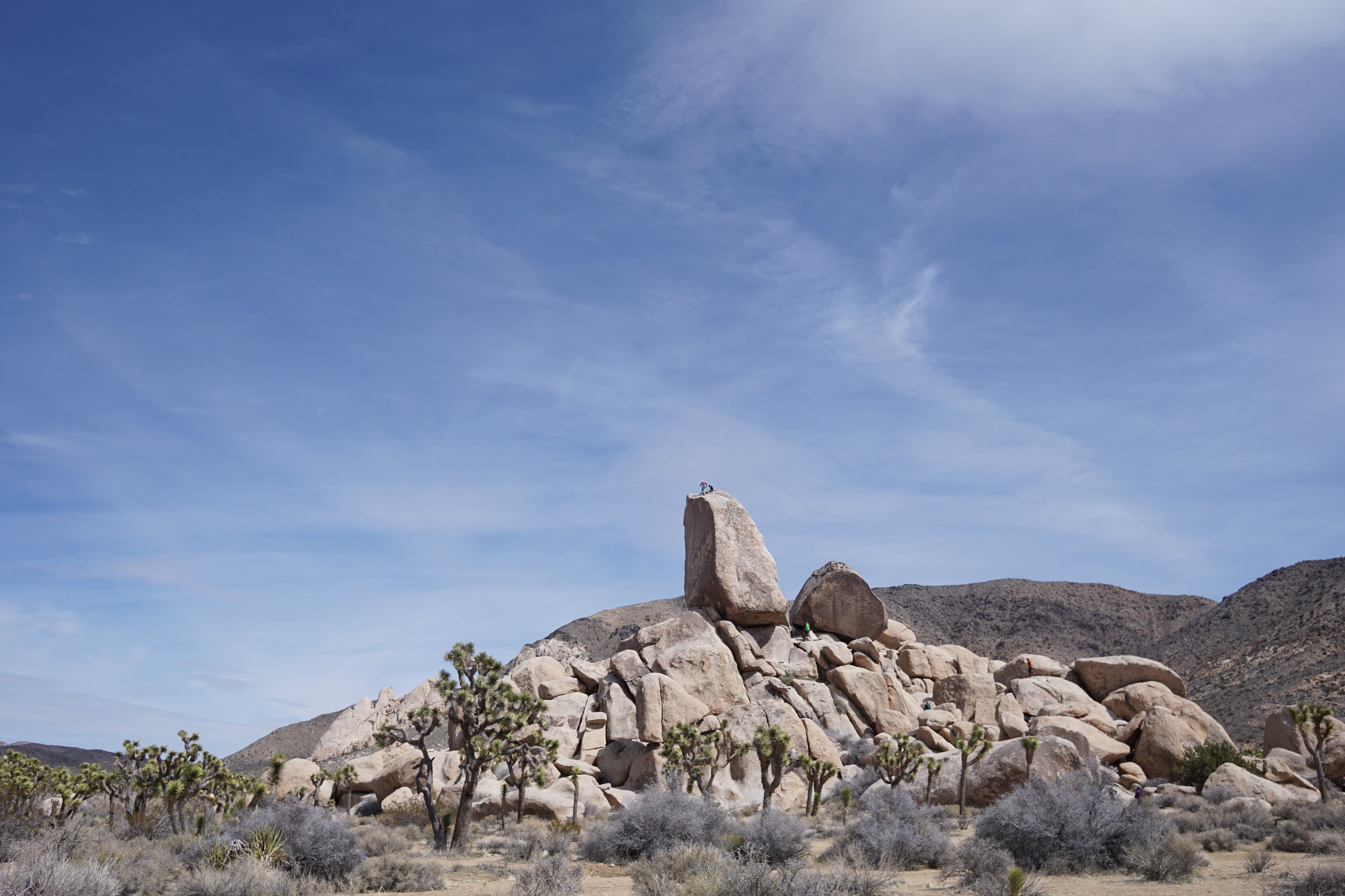 Photo of Joshua Tree National Park