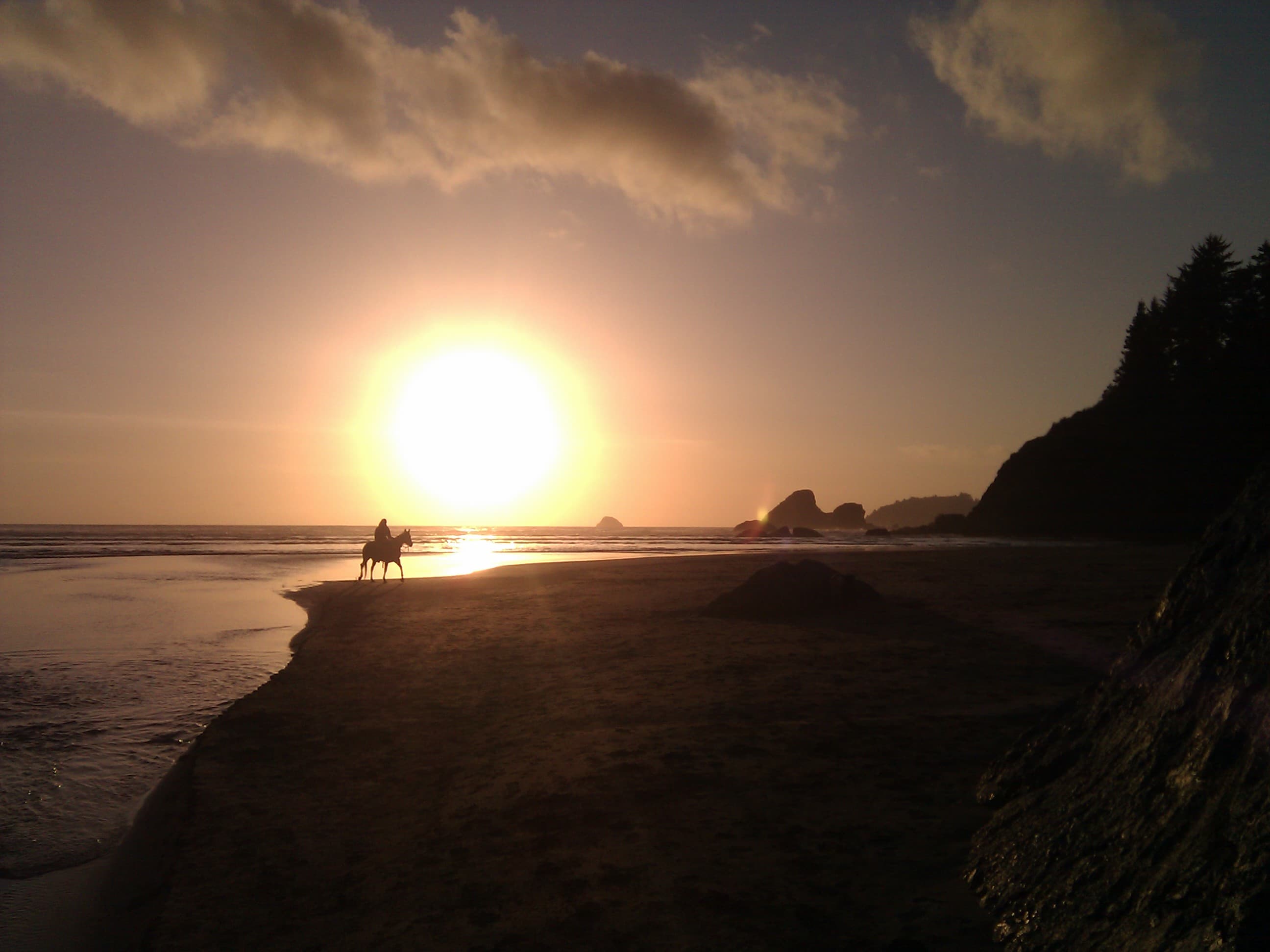 Photo of Redwood Coast