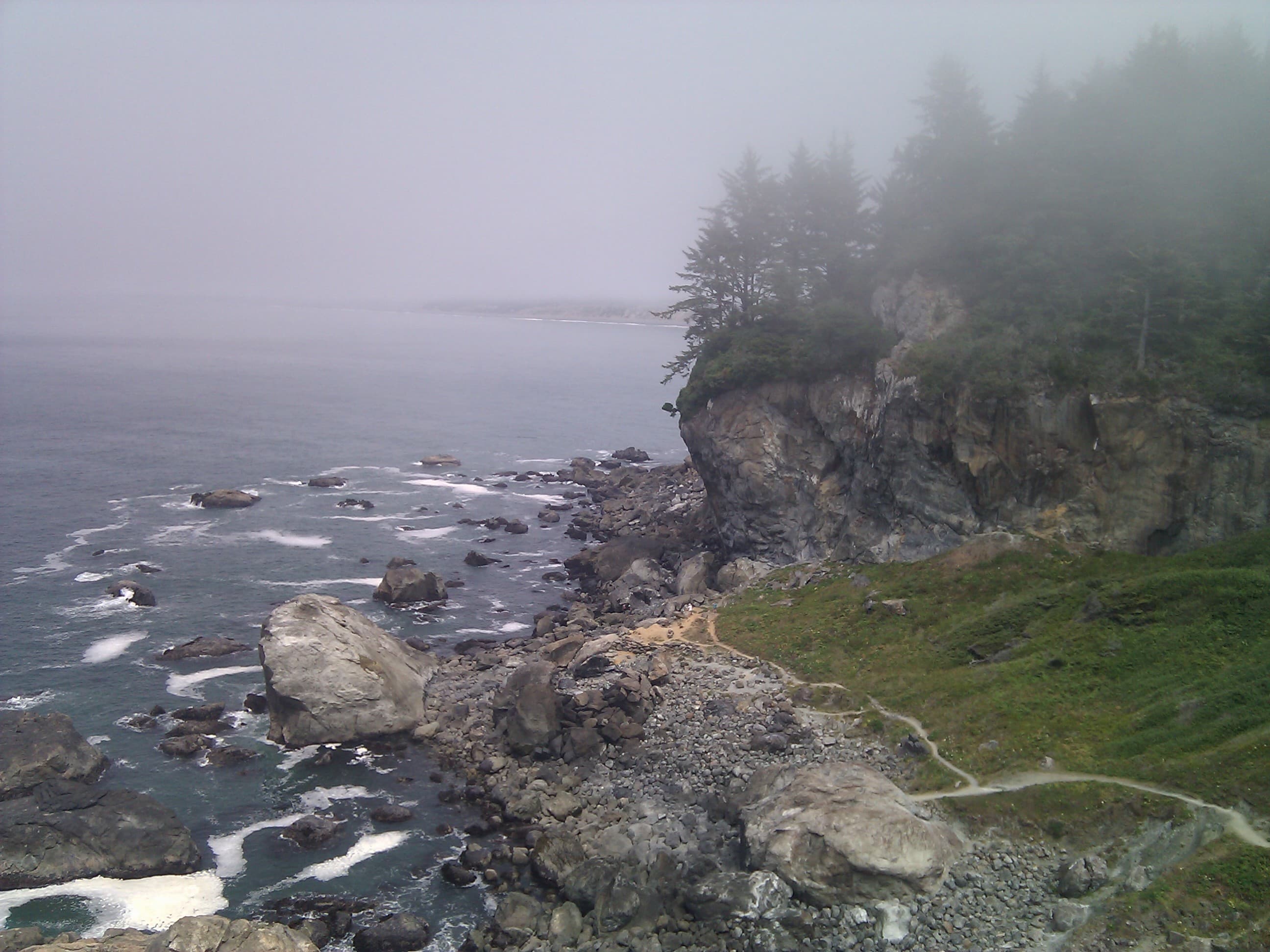 Photo of Redwood Coast