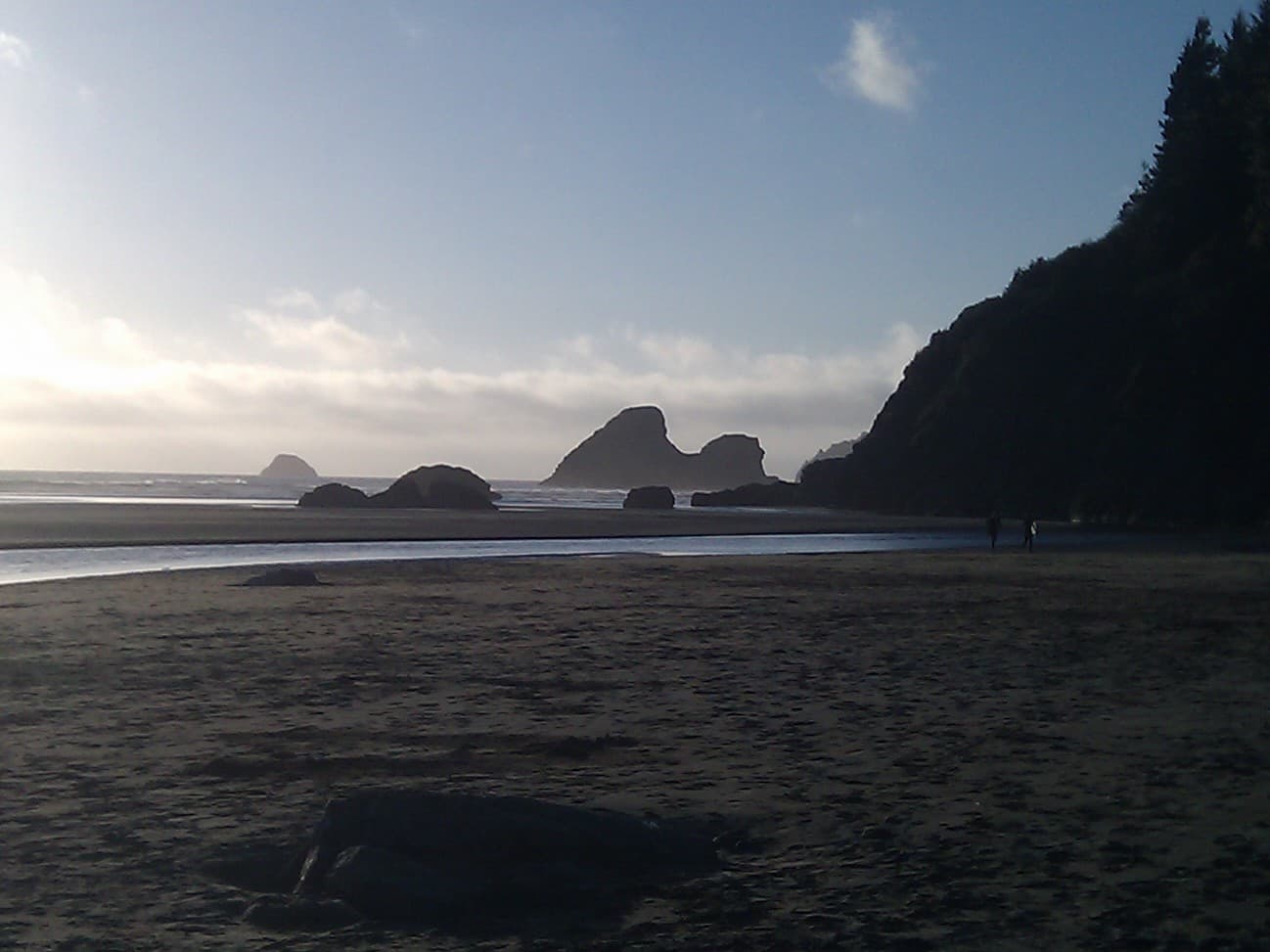 Photo of Redwood Coast