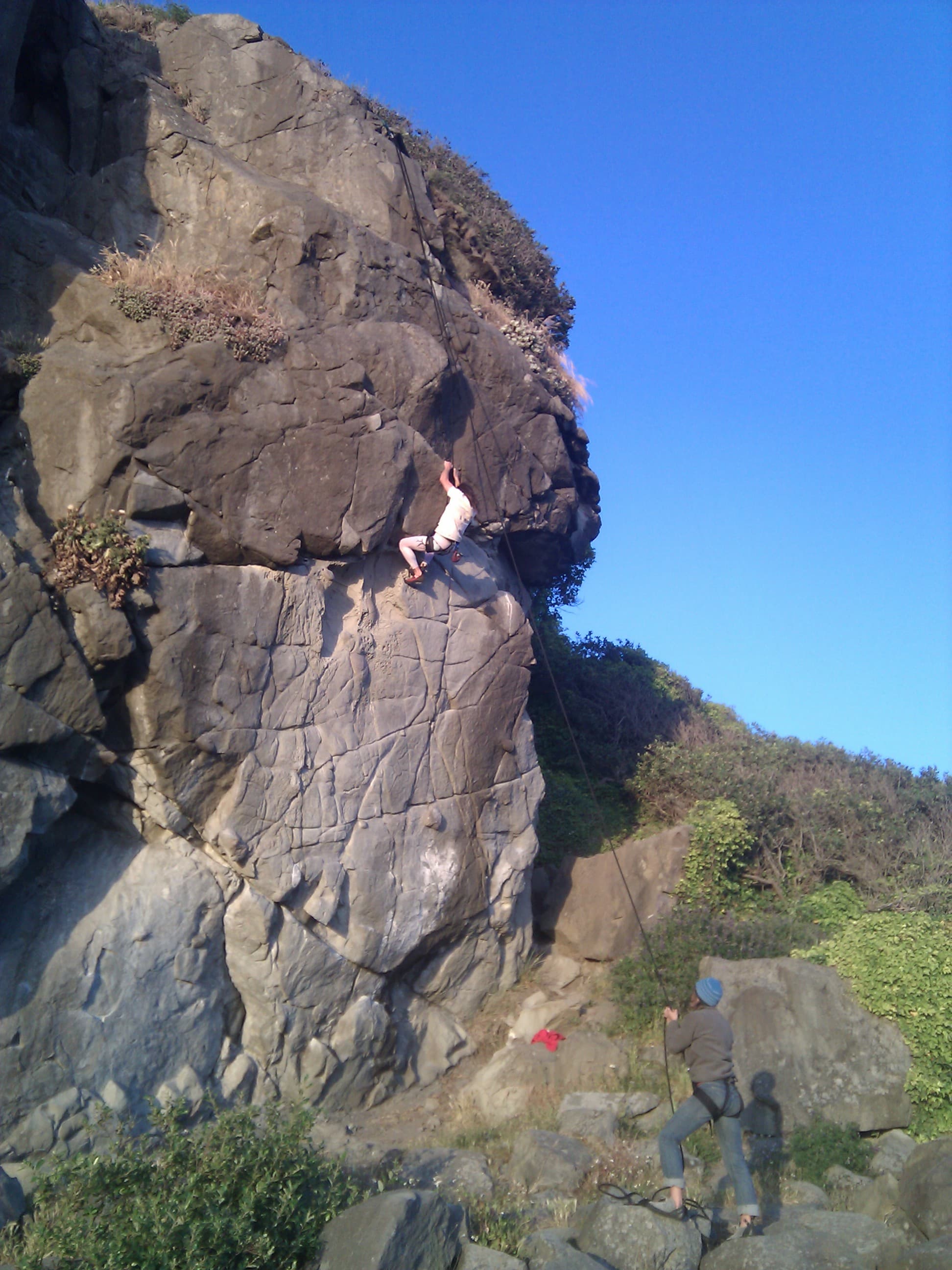 Photo of Redwood Coast