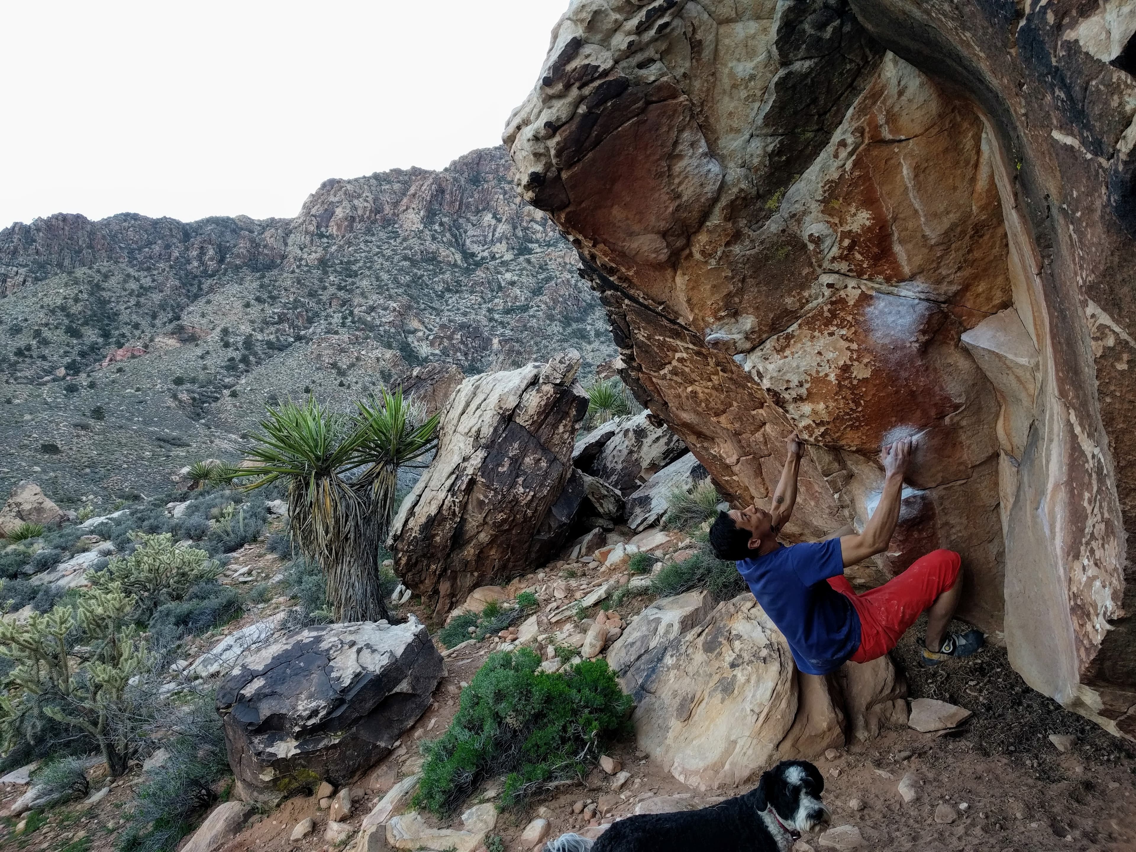 Photo of Red Rock Bouldering