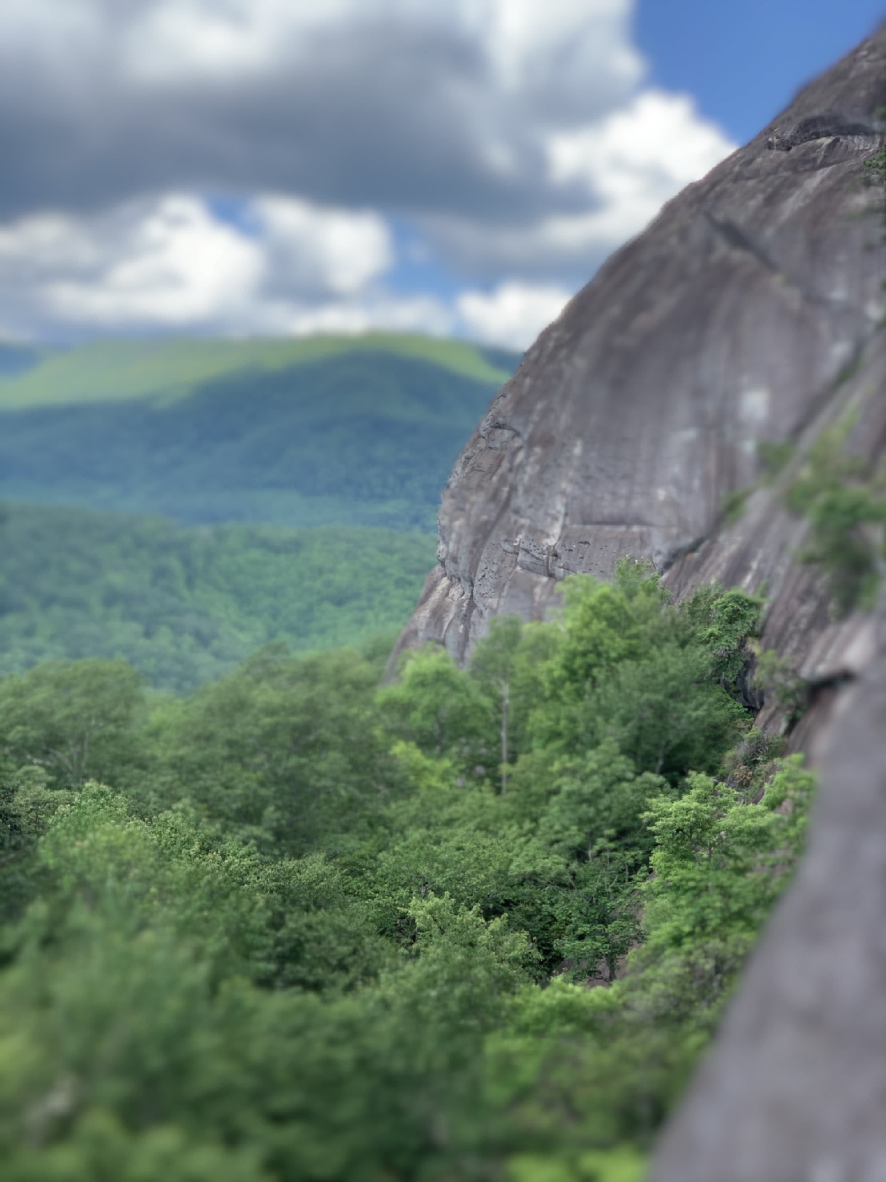 Photo of North Carolina